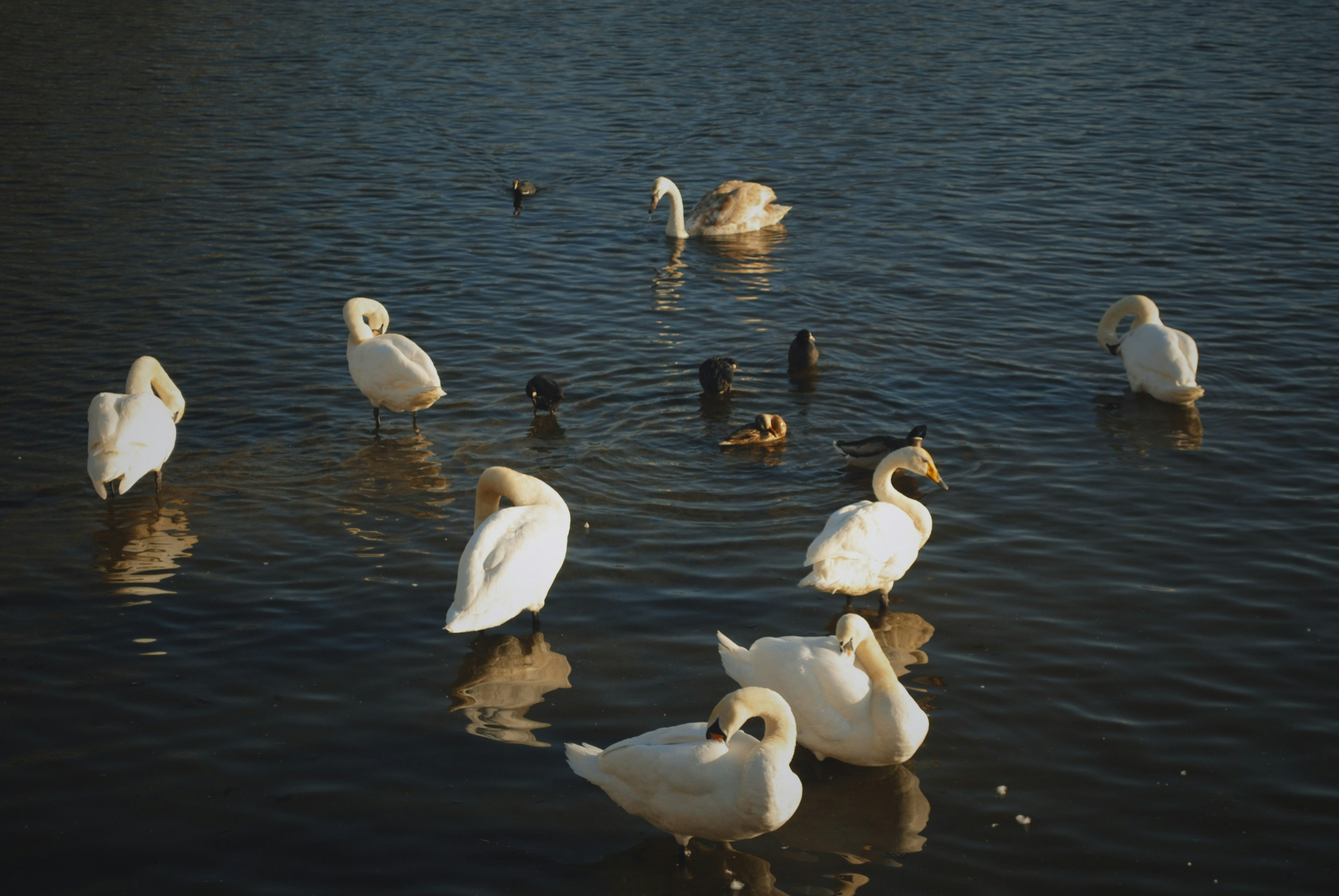 Photo by alx_edelstein