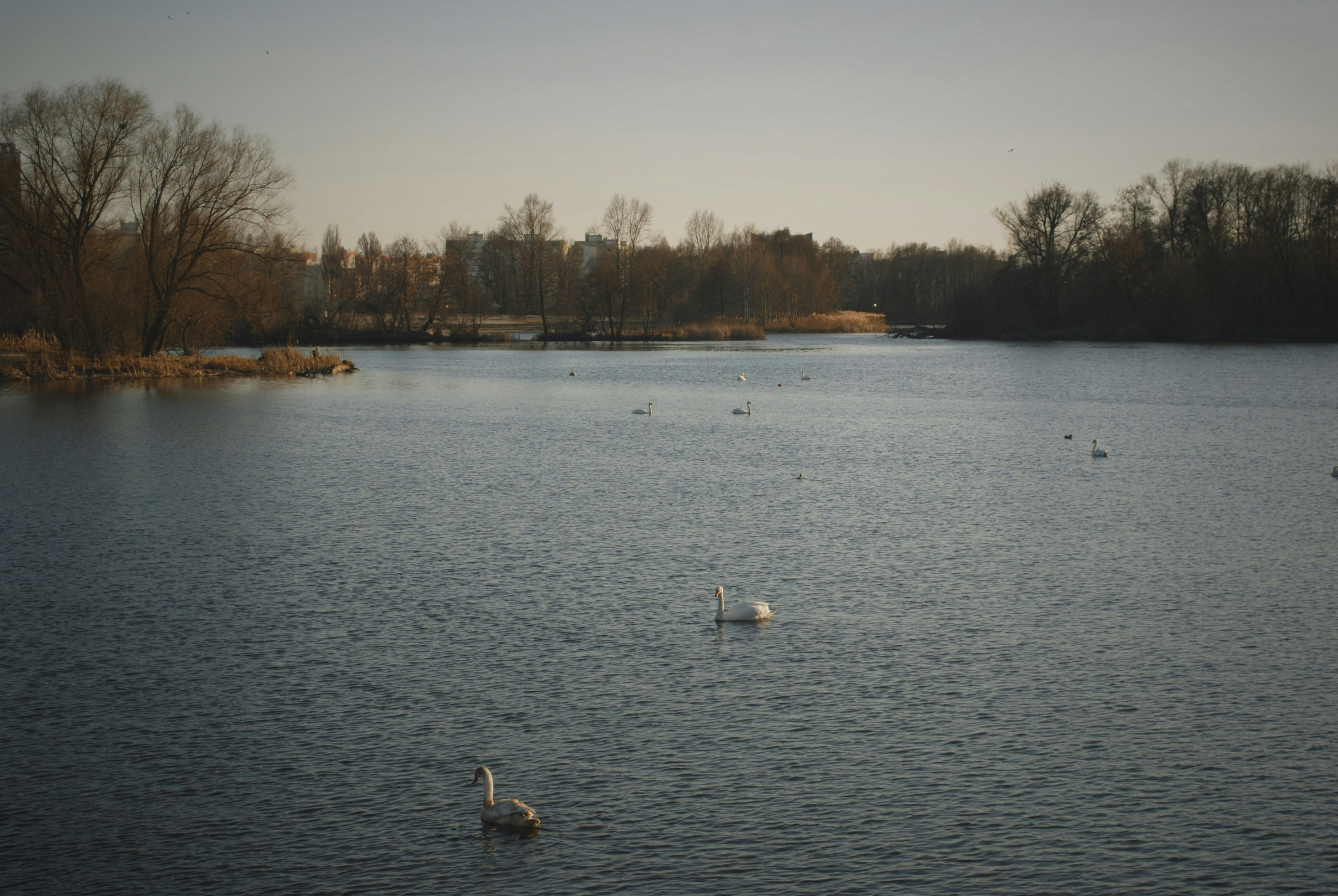 Photo by alx_edelstein