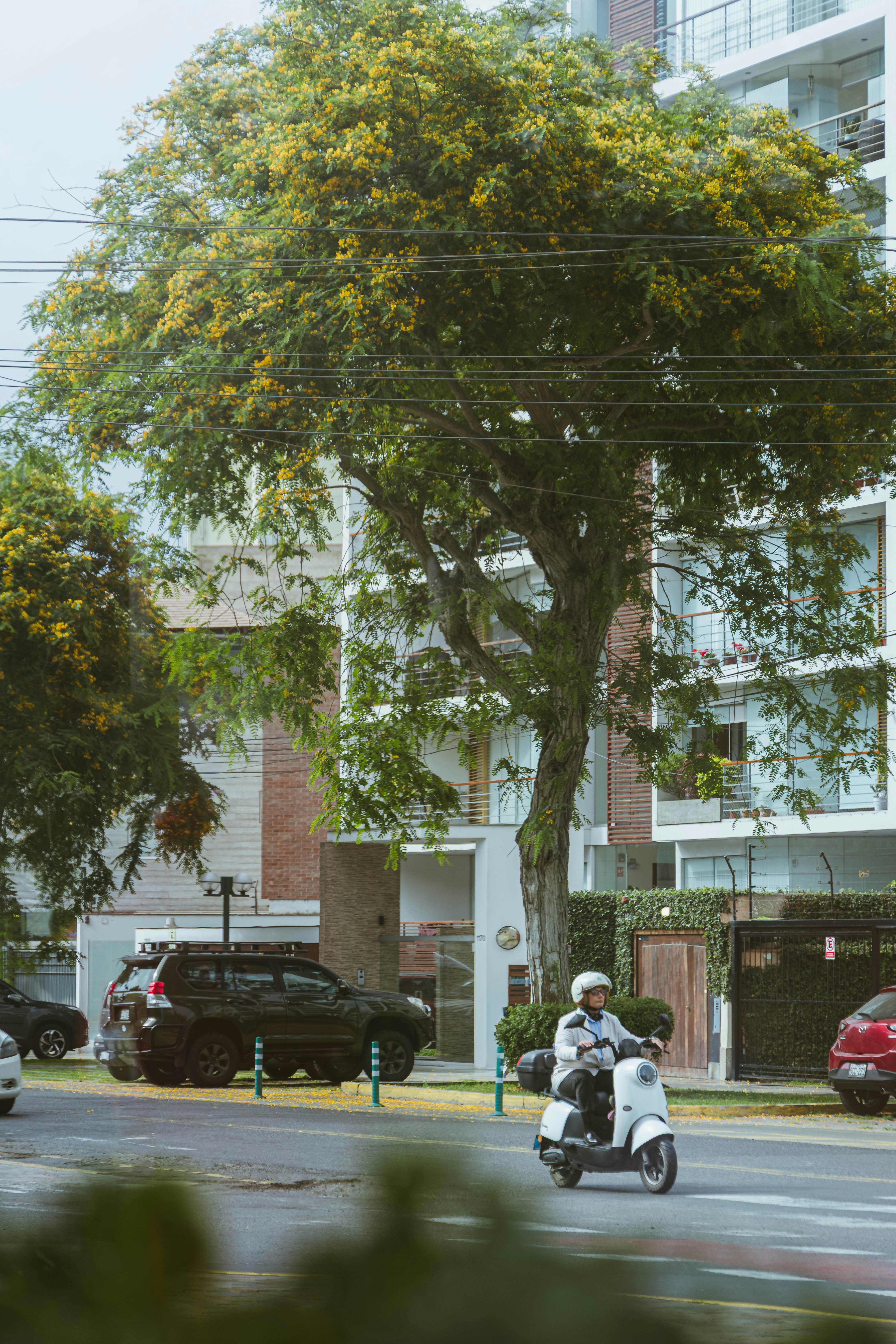 Photo by carbonmonoxide