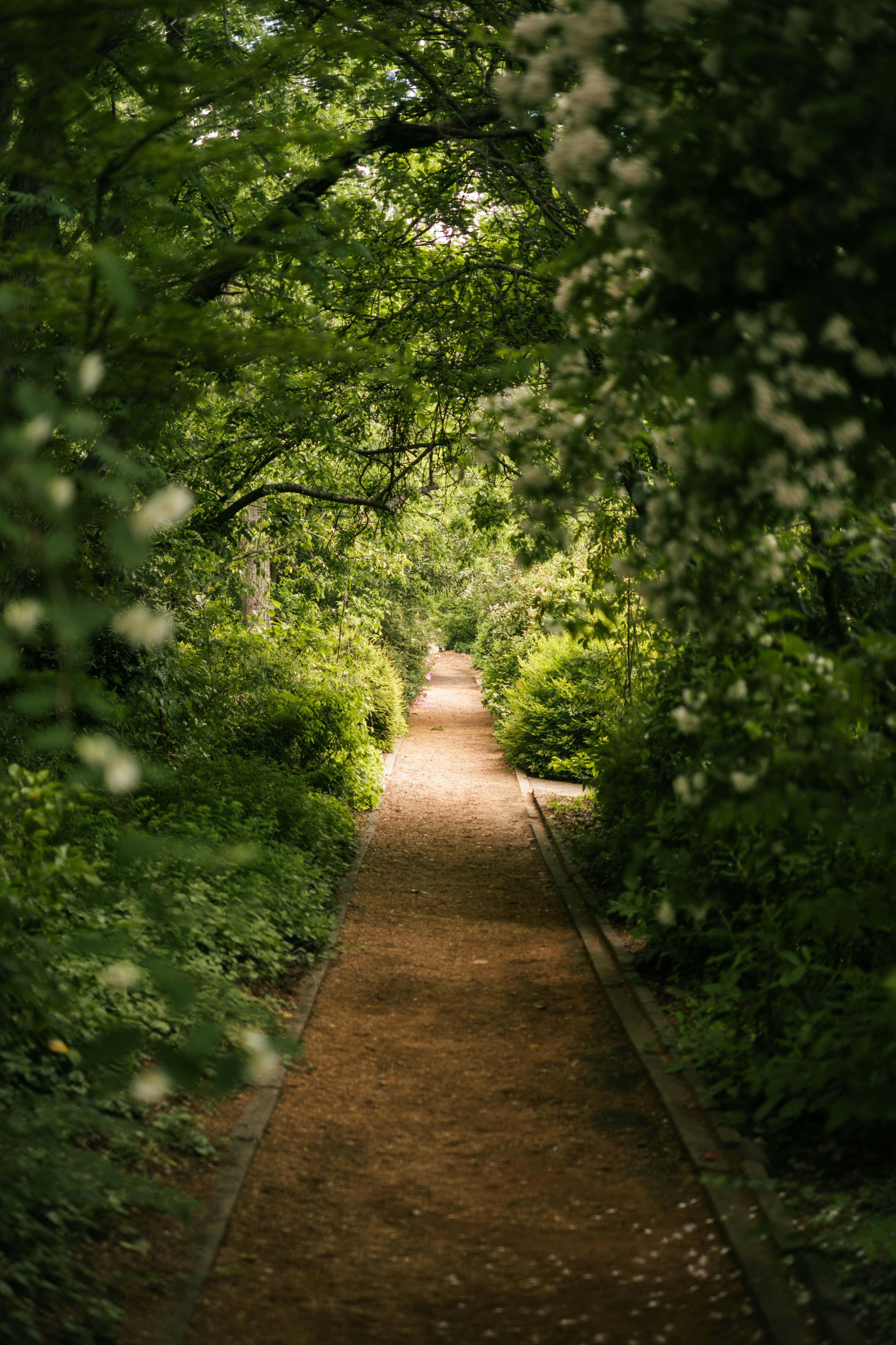 Photo by raegocreative