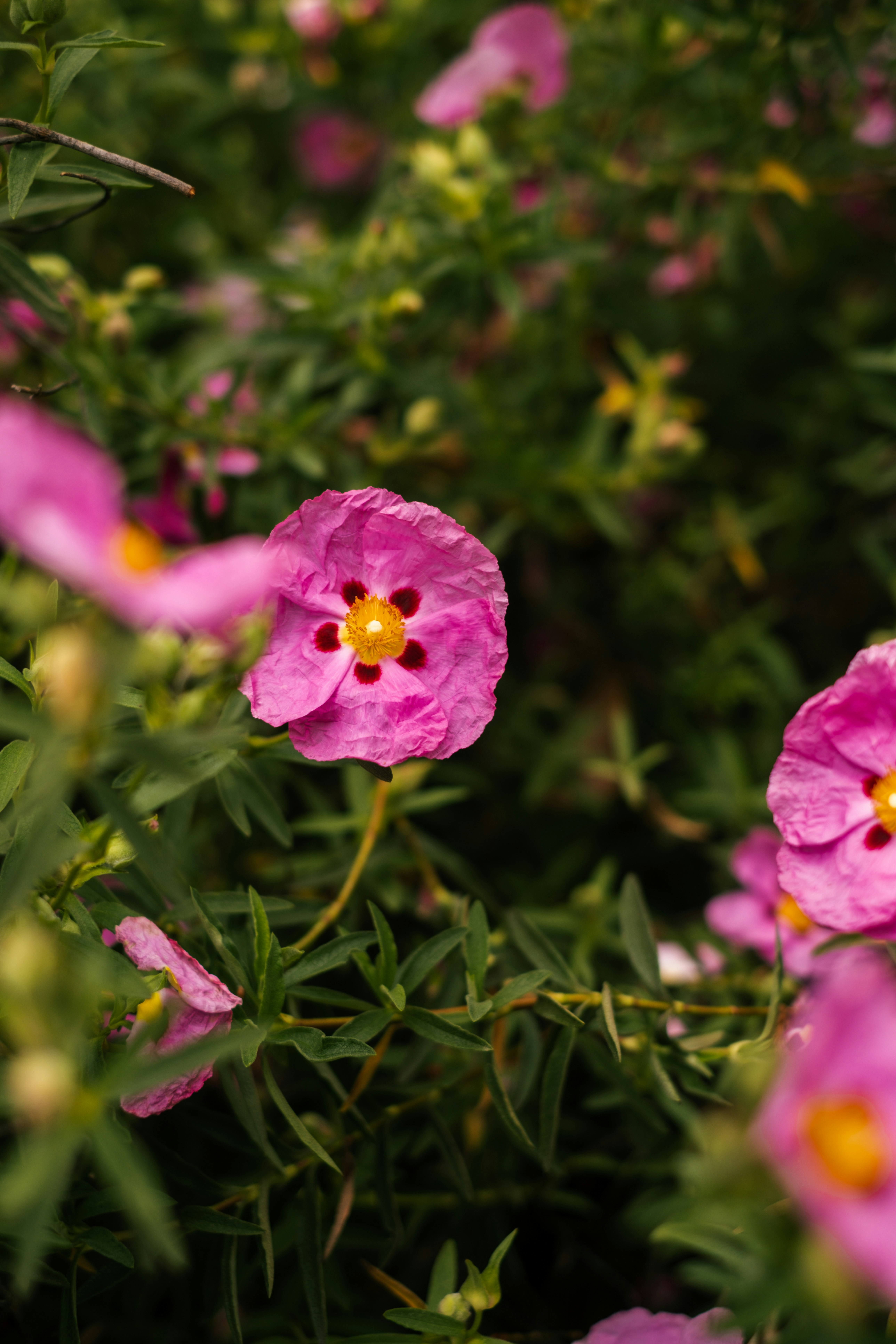 Photo by raegocreative