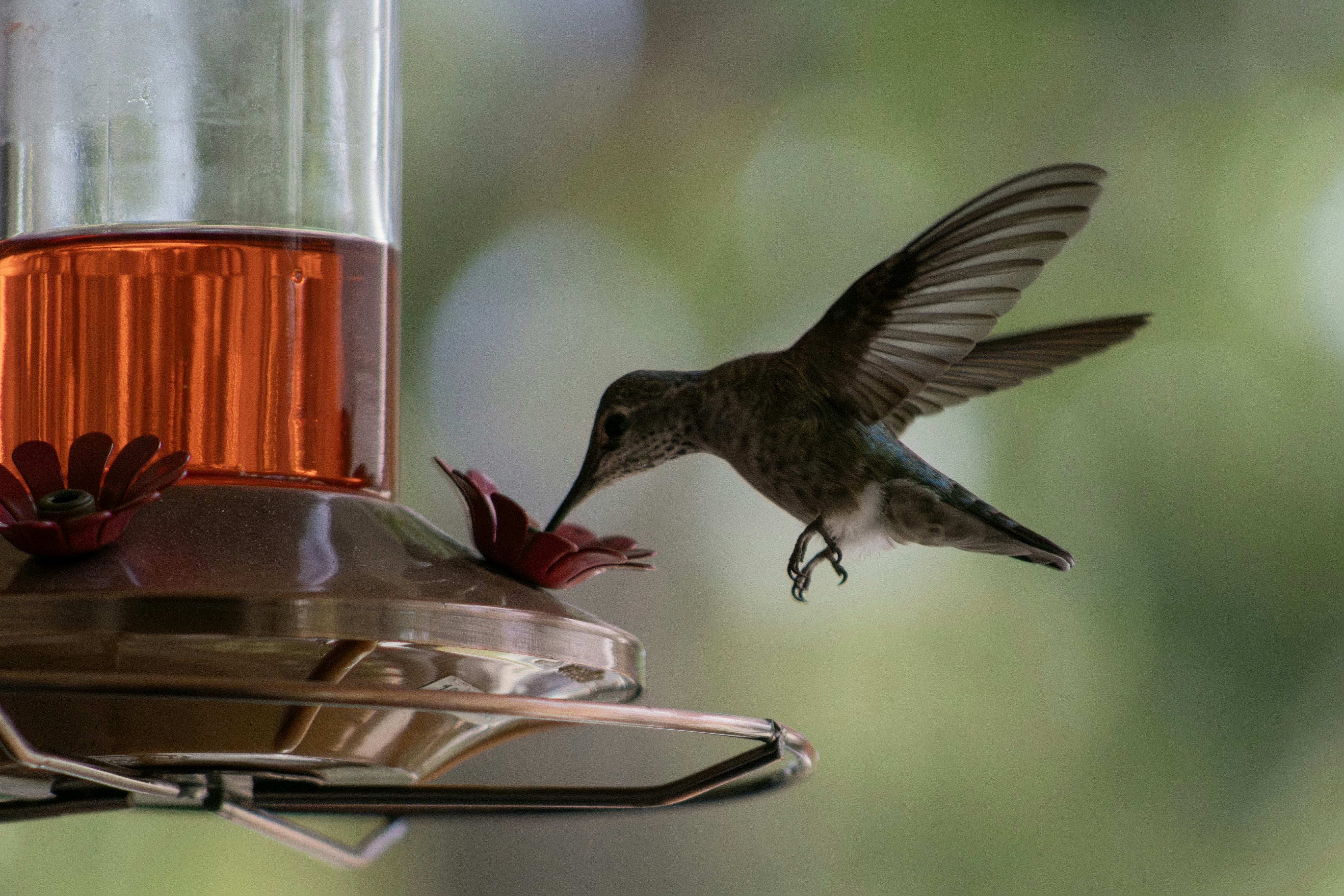 Photo by akshatadsule