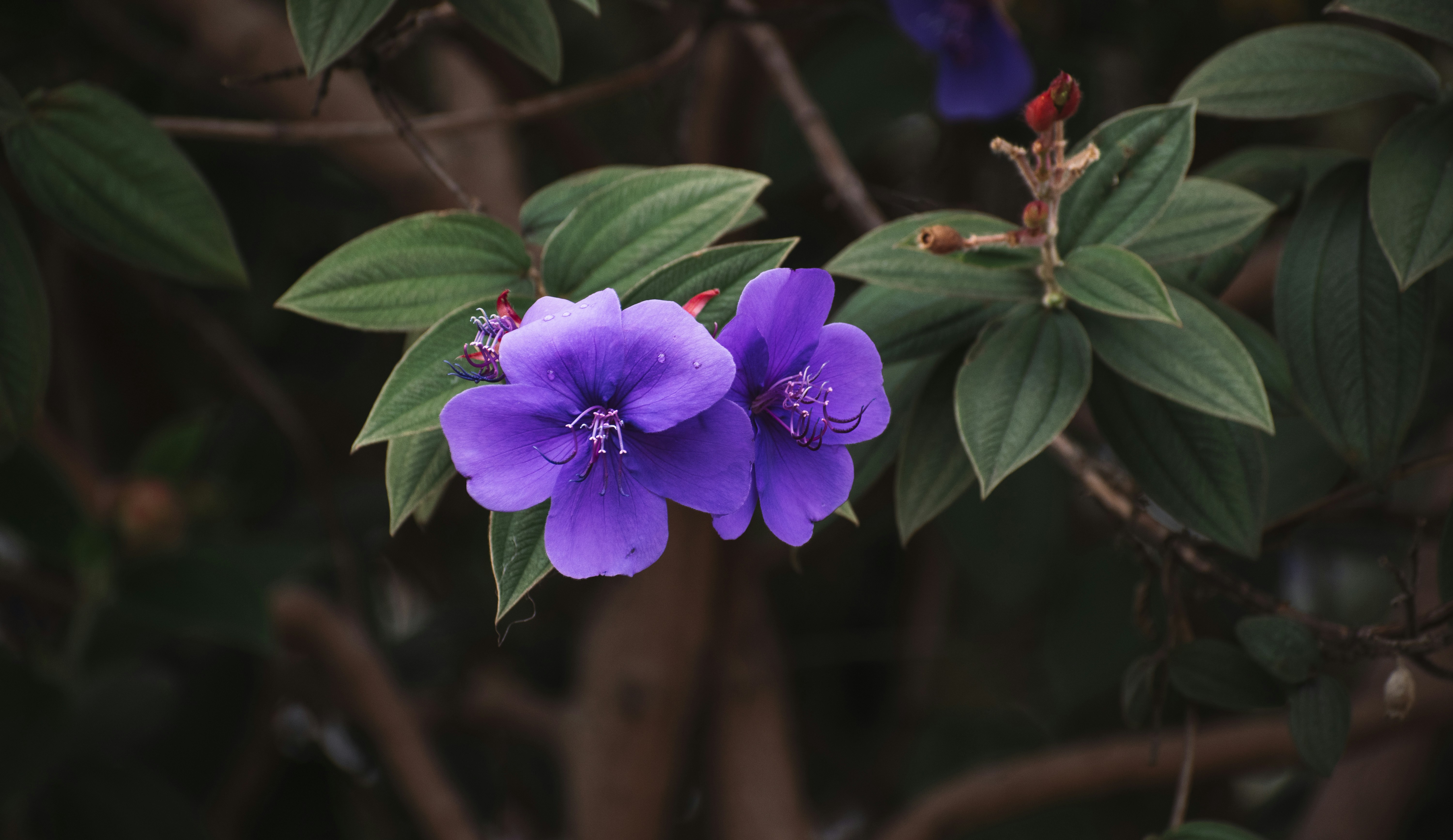 Photo by sebaslaverde_nkn
