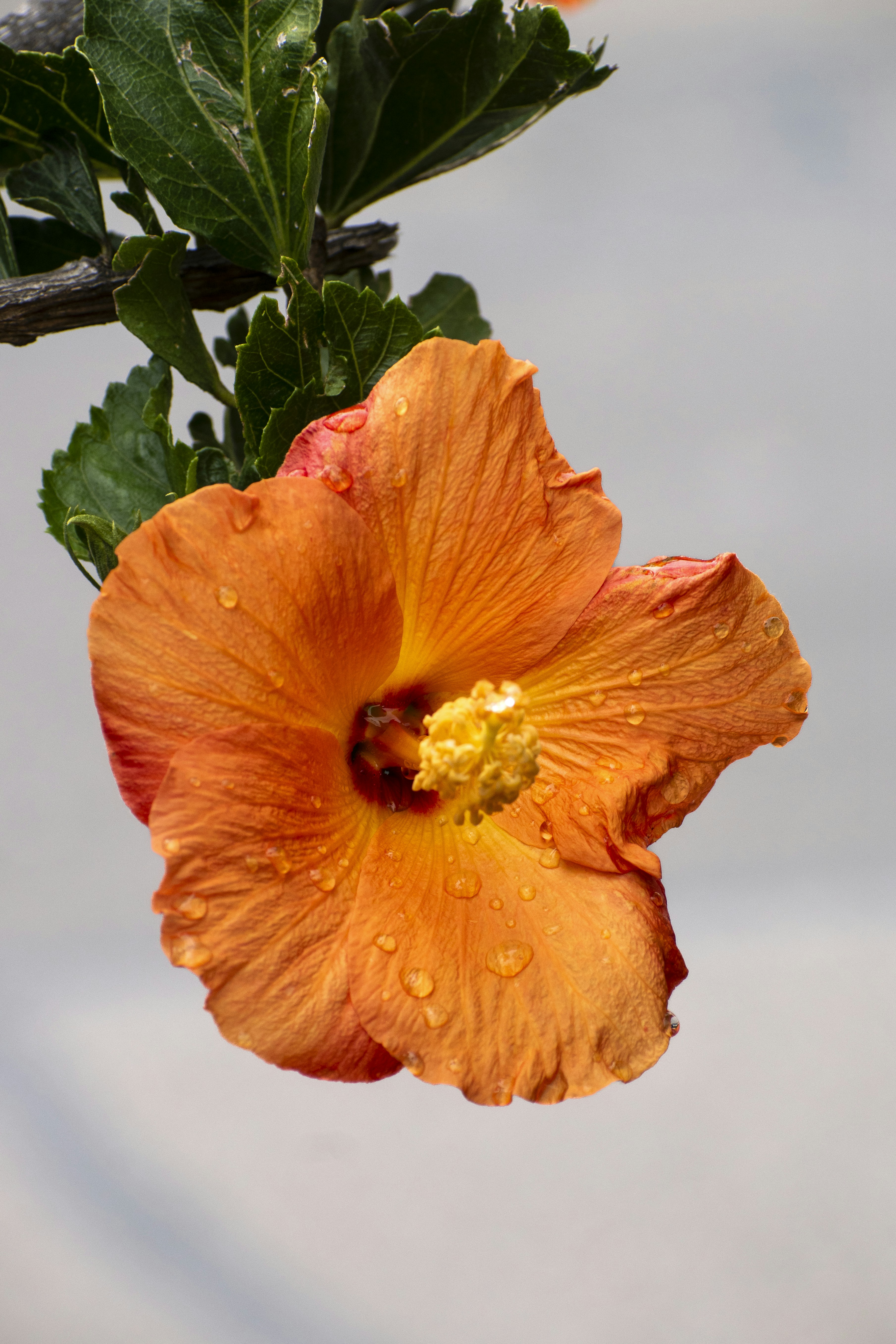 Photo by sebaslaverde_nkn