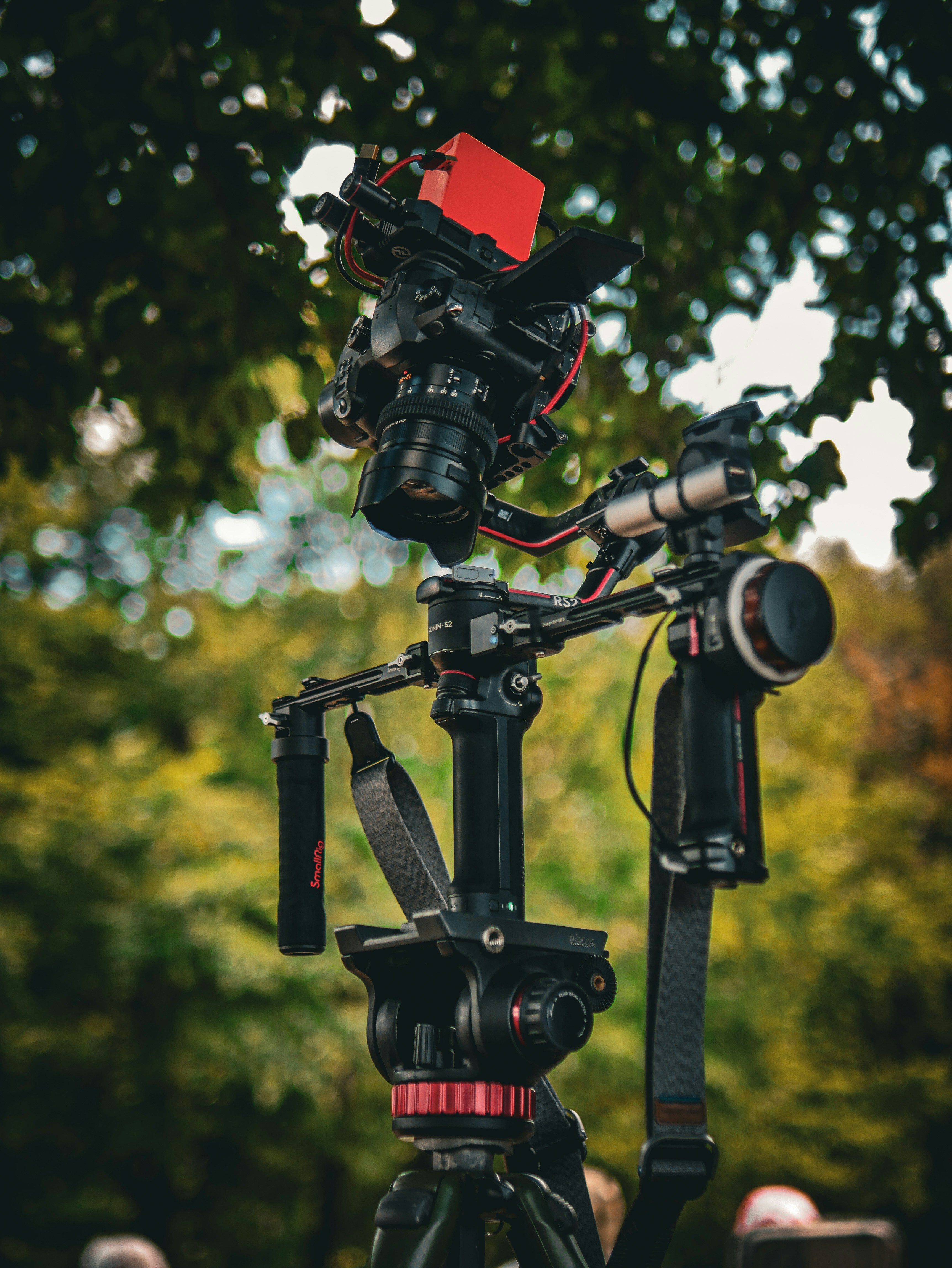 Photo by berciuemanuel2001