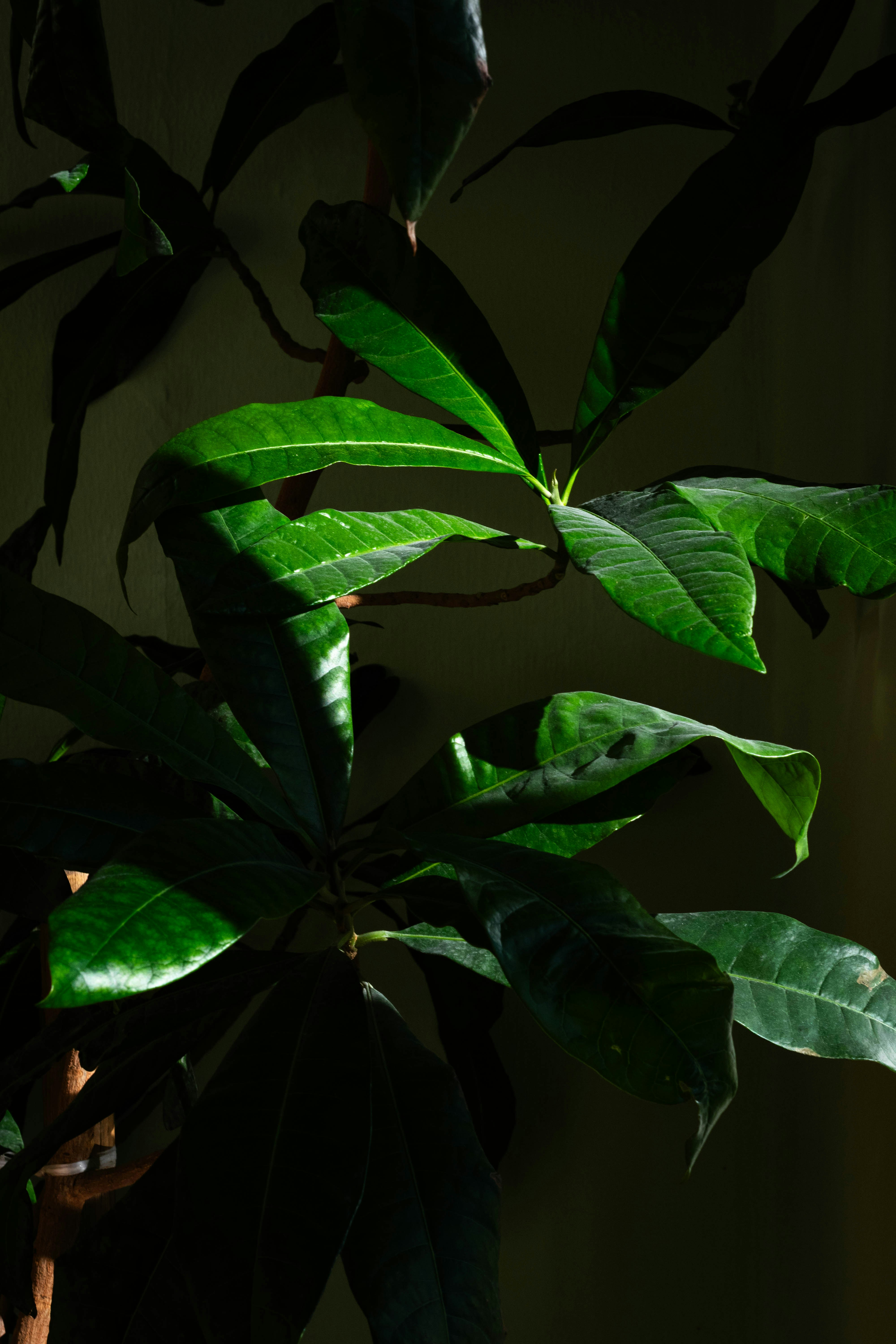 Photo by andrew_bright