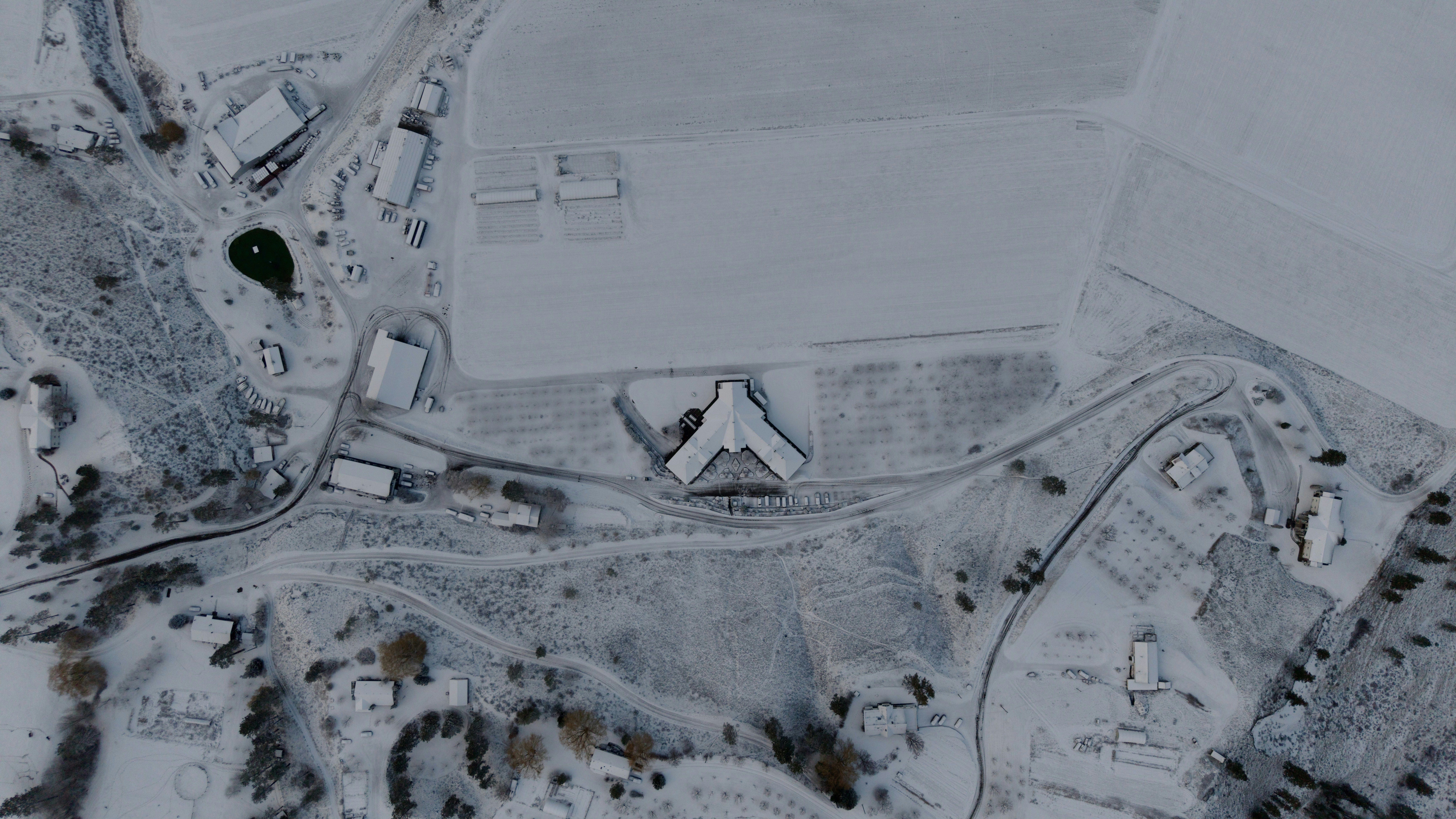 Photo by csebastian123