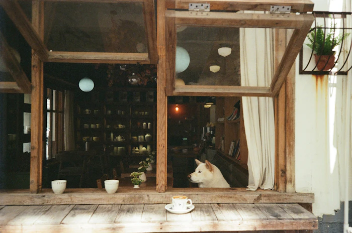 Pet Friendly Cafes