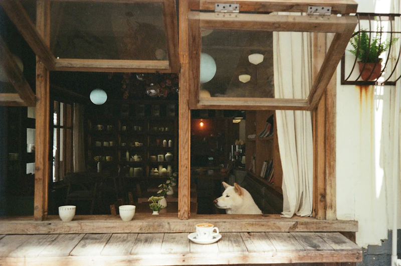 Japanese pour over coffee