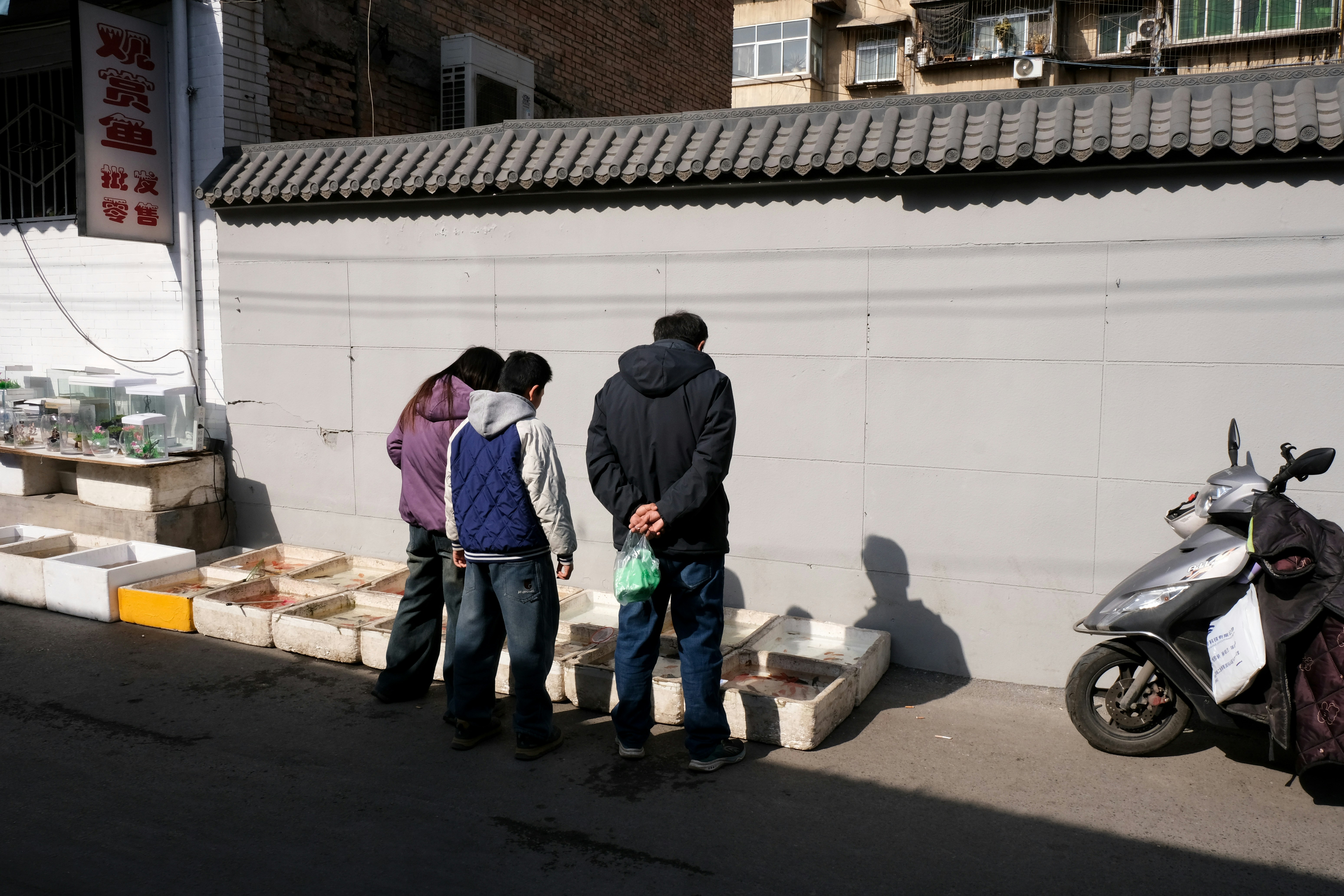 Aquarium Supply Essentials: The Must-Have Tools for Every Fish Owner