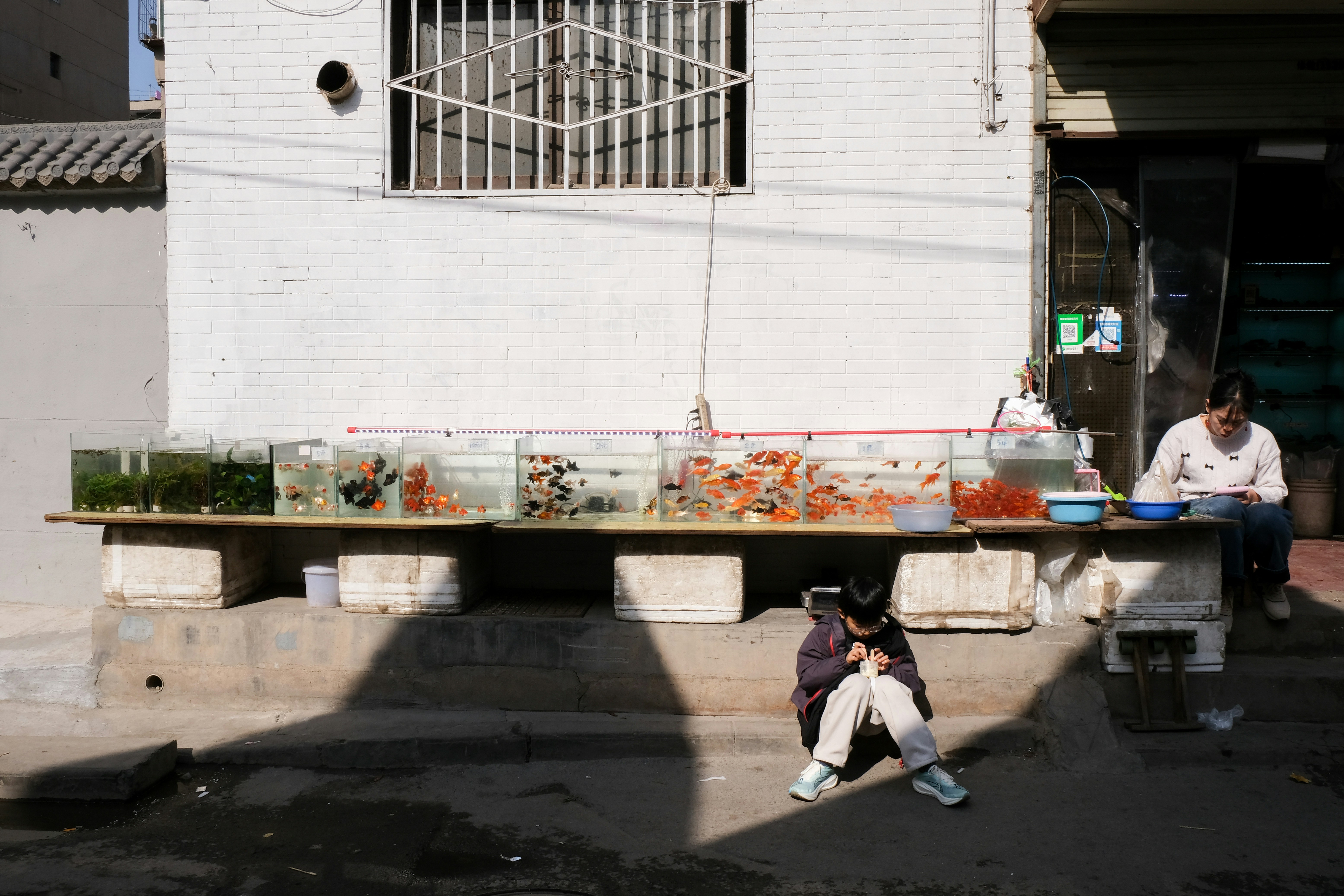 Man selling fish from tanks outside a building.