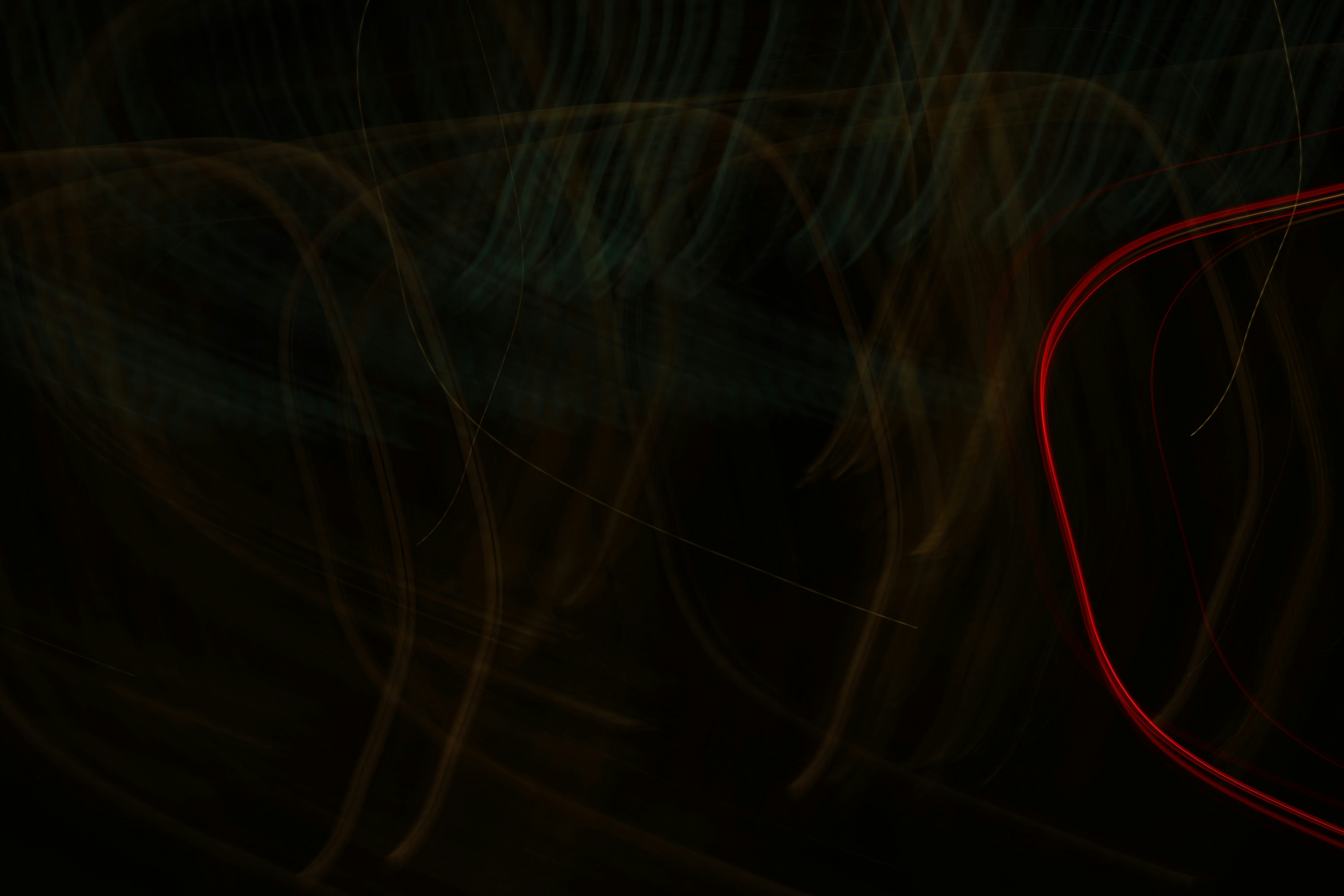 Photo by nationaljeographic