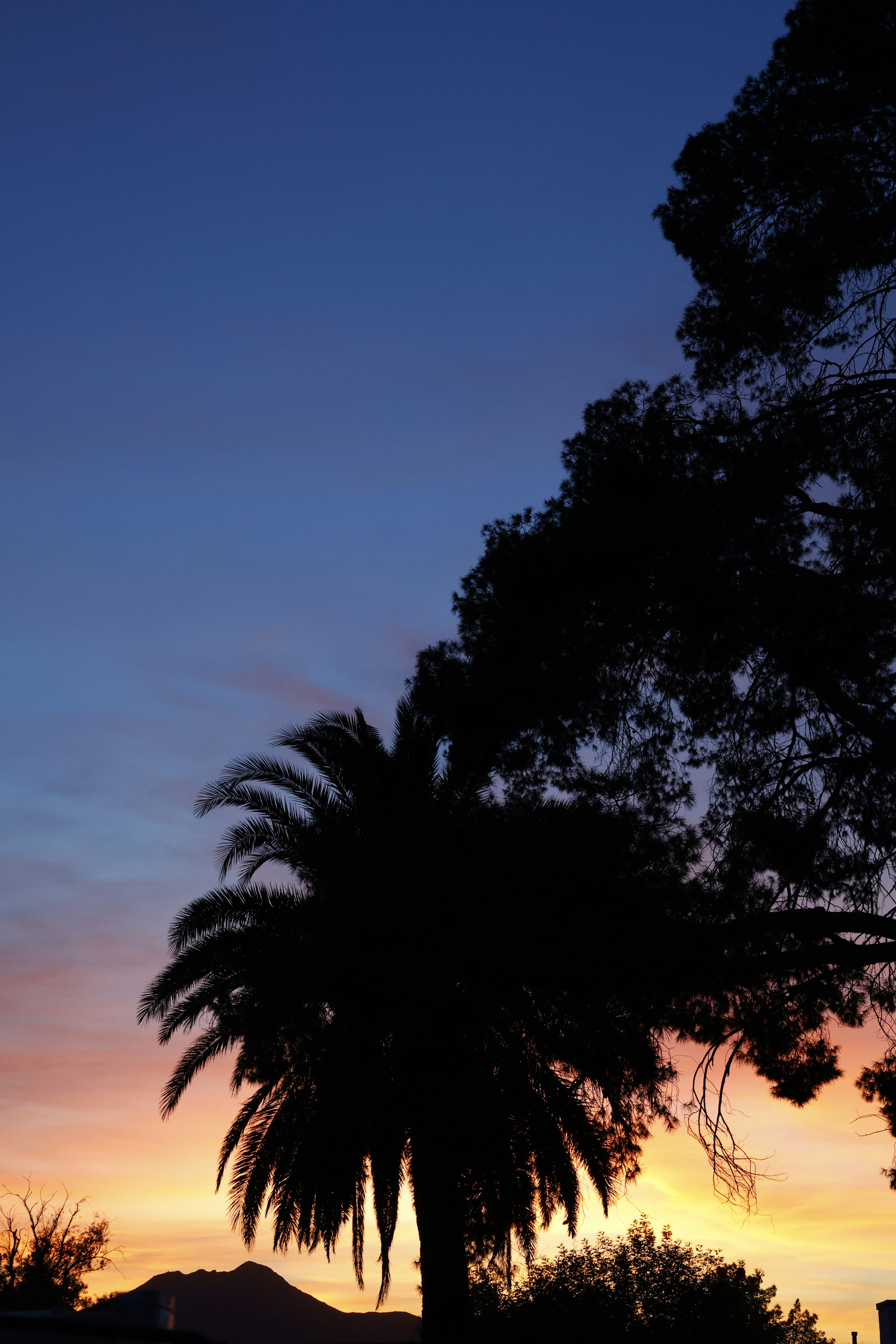 Photo by nationaljeographic