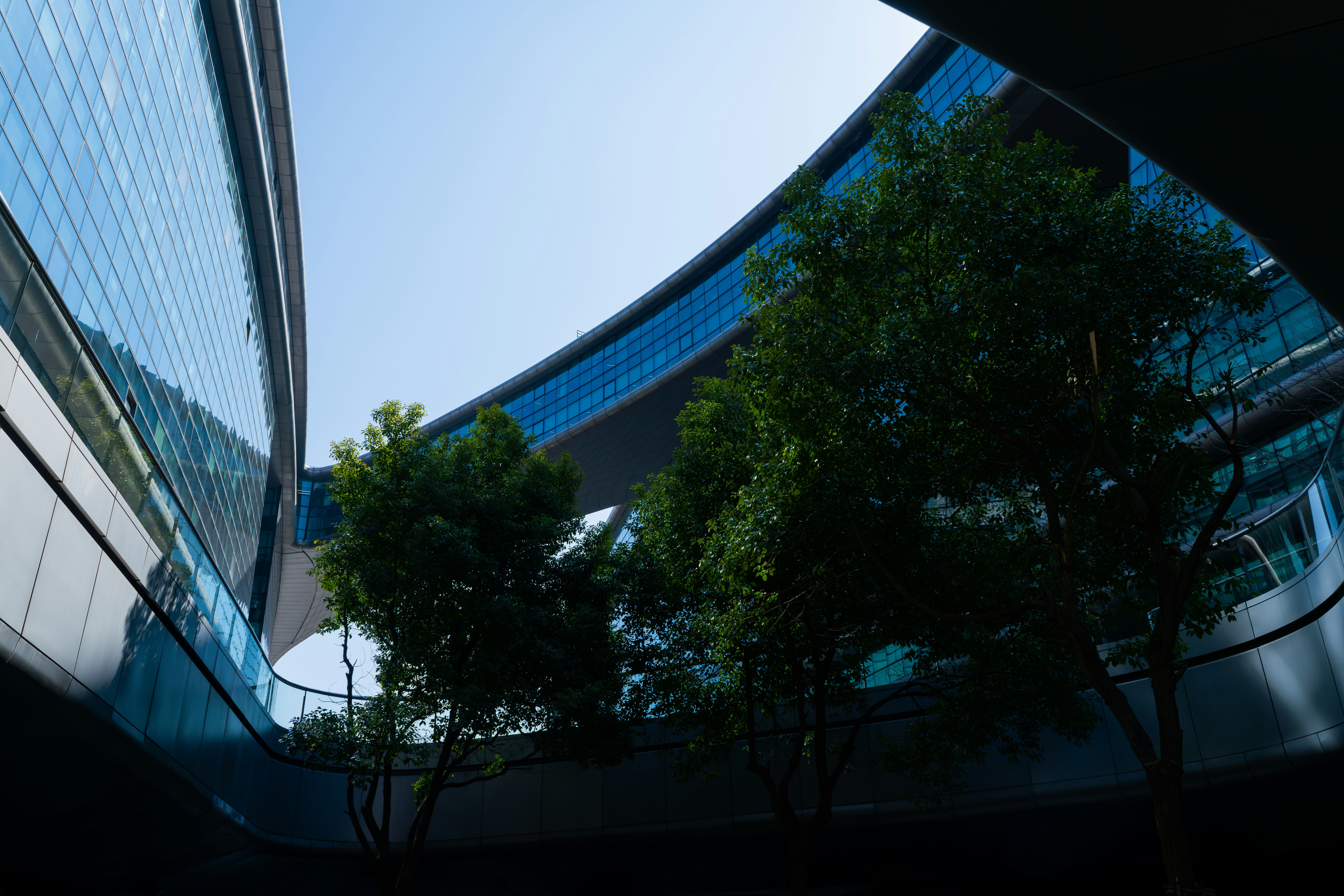 Global Hiring Freeze Trends