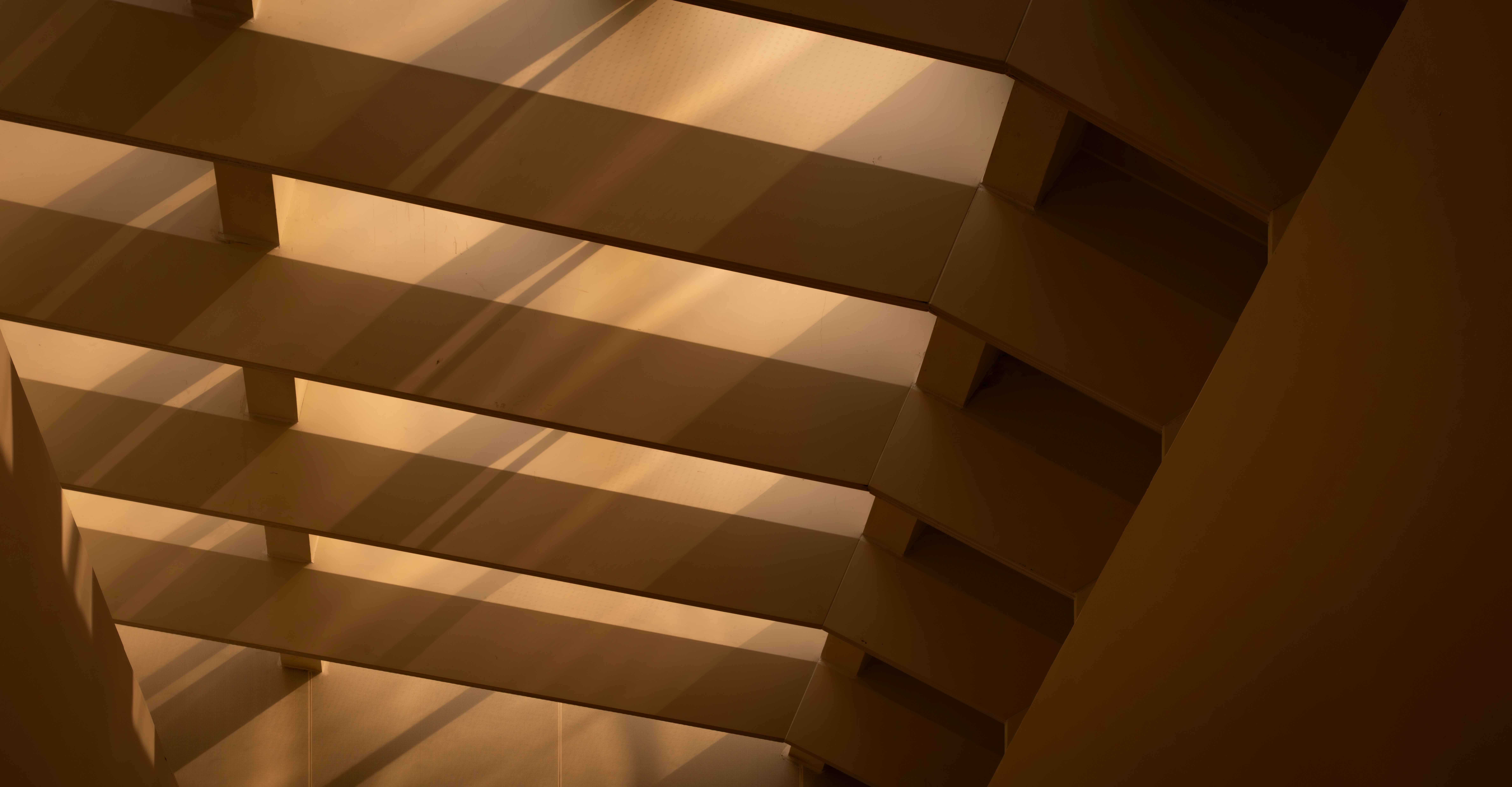 Lens Replacement Surgery Clarified: Important Information