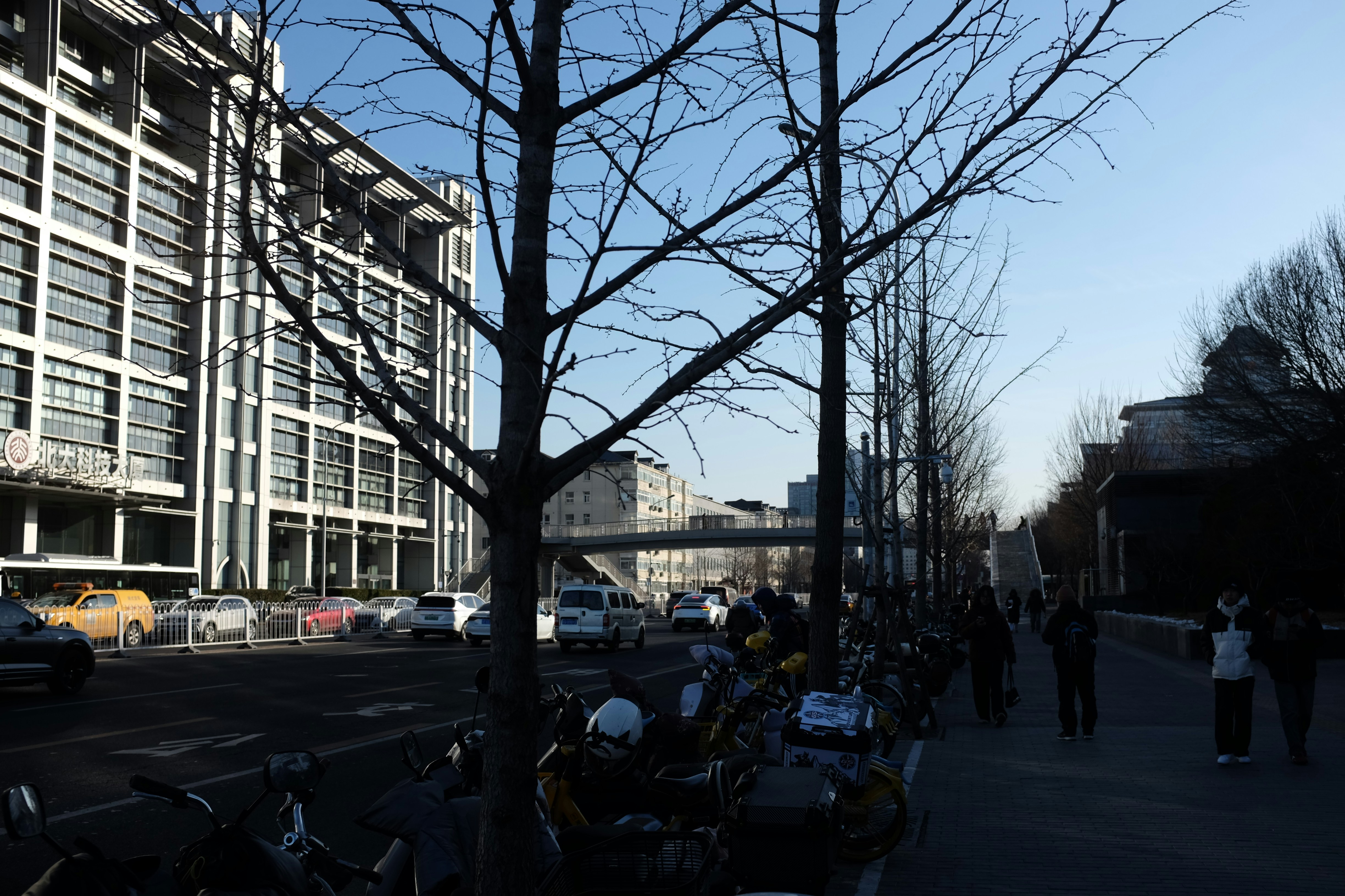Bare trees line a city street with modern buildings.