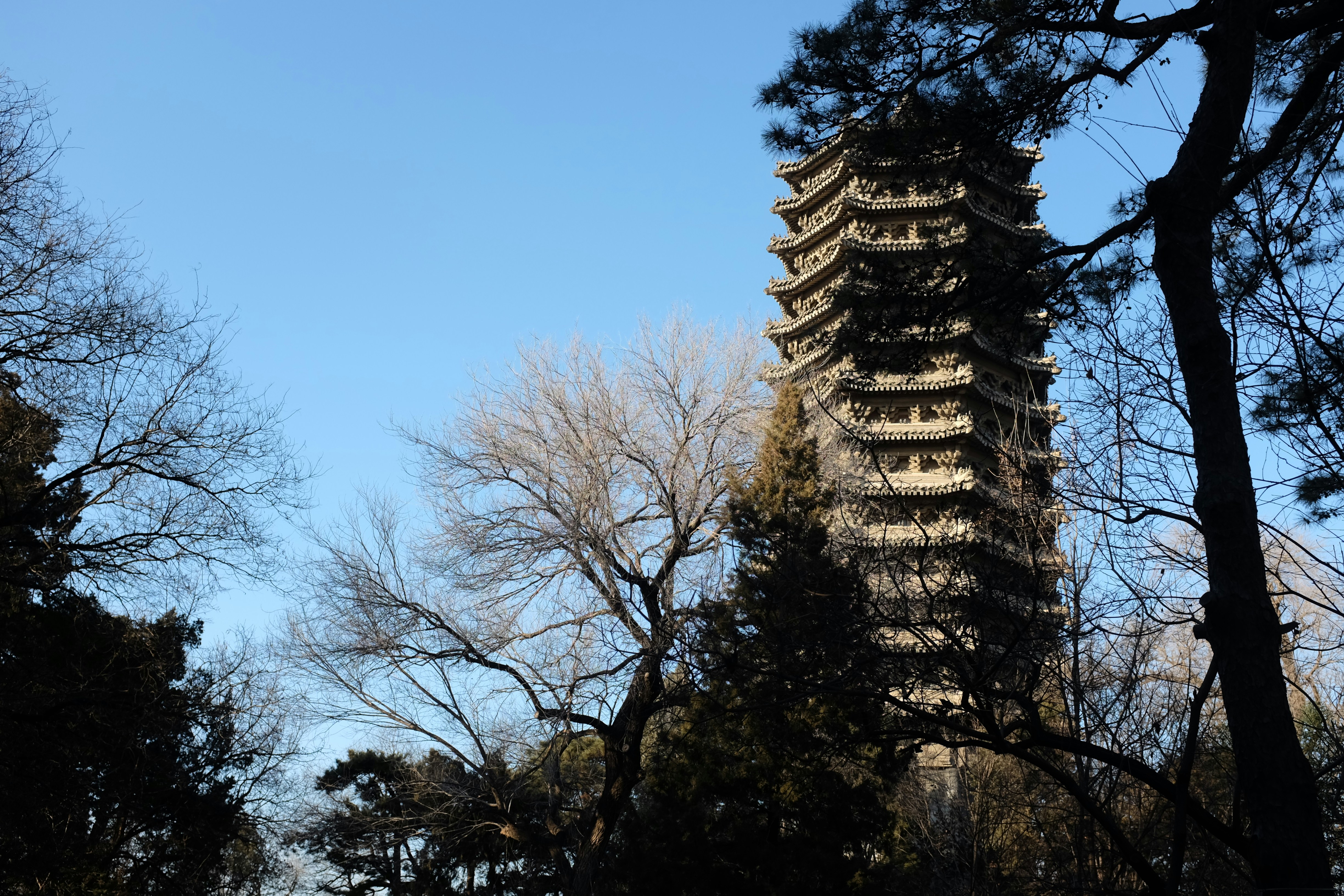 Tall pagoda structure surrounded by bare trees