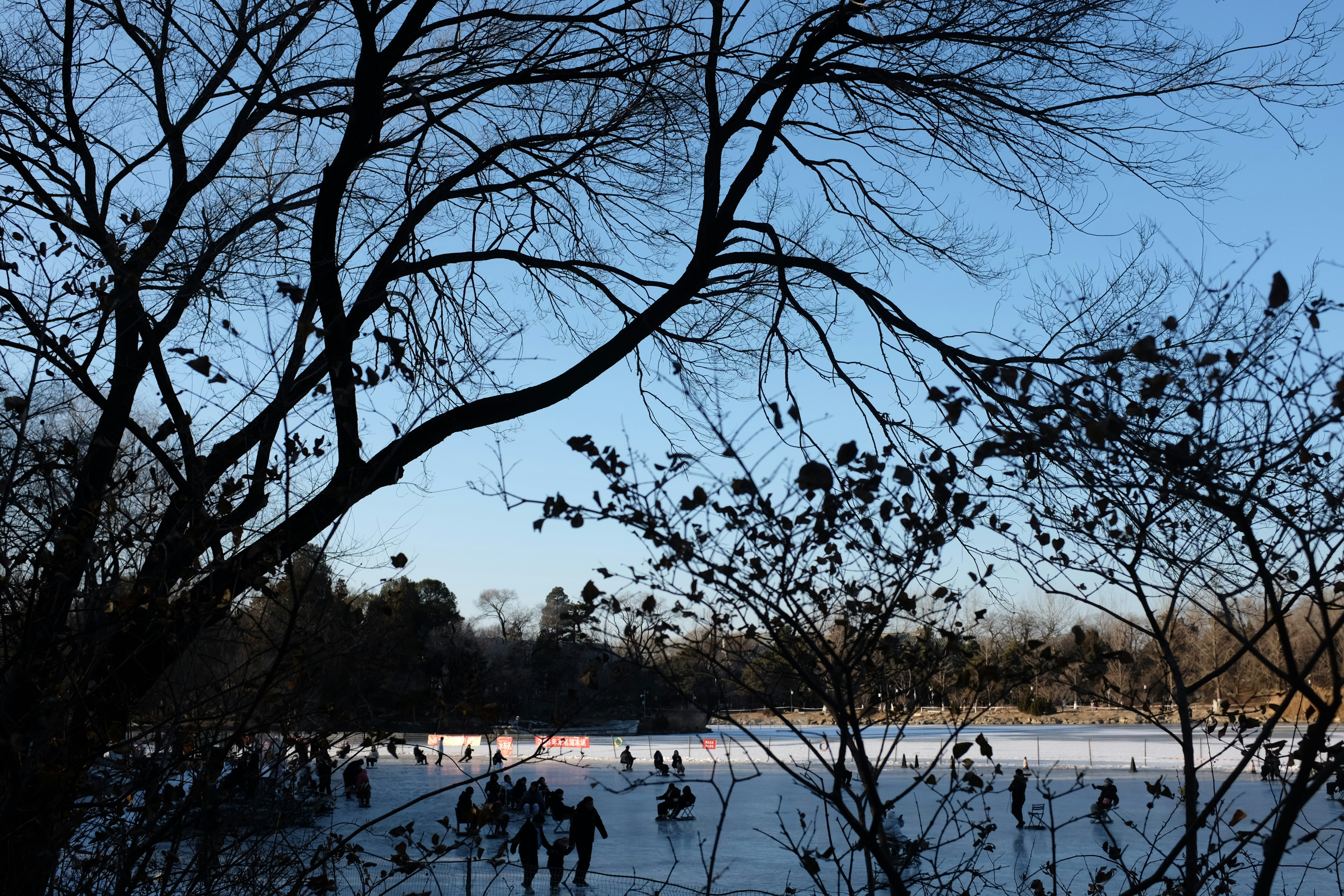People ice skating on a frozen lake under bare trees.