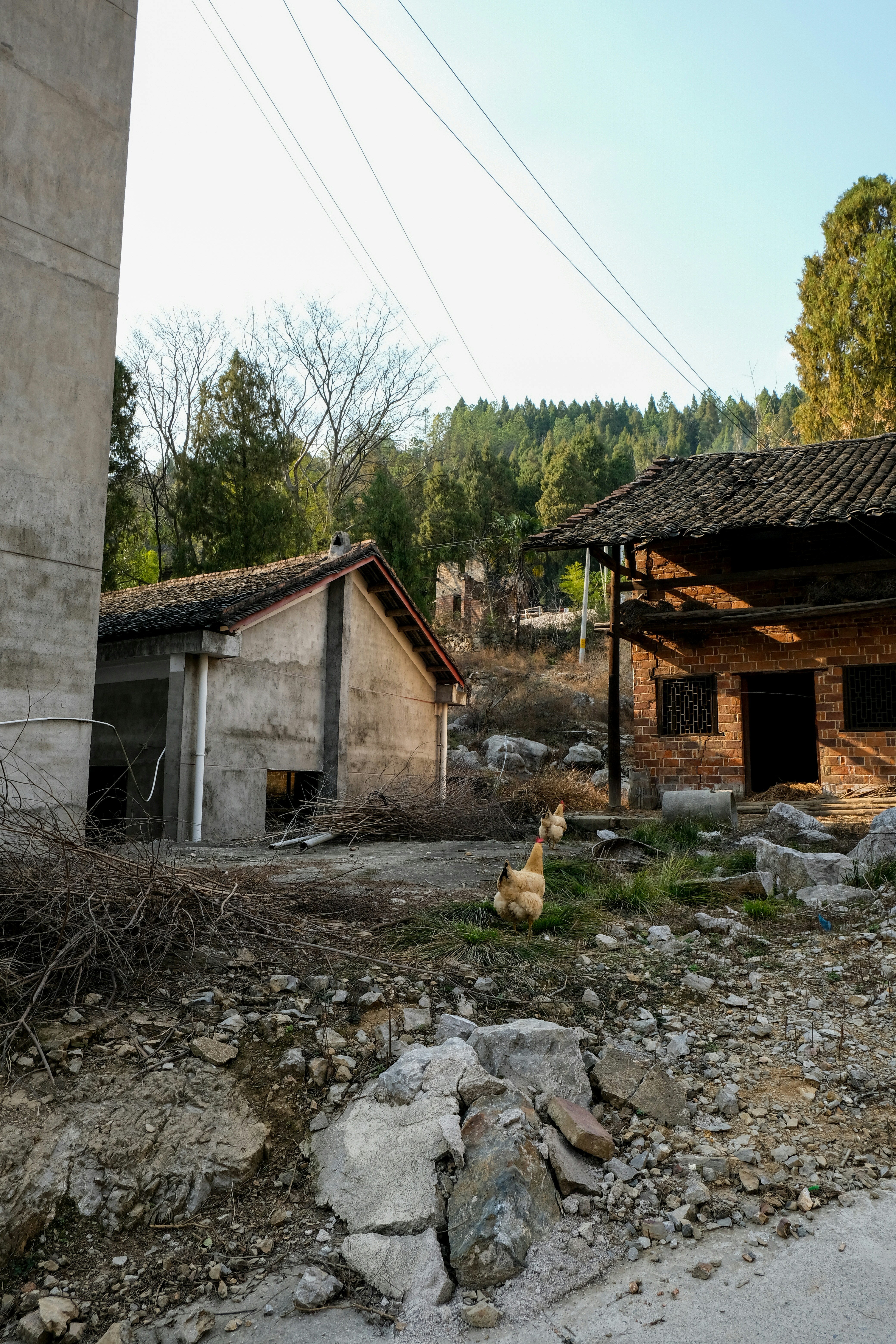 Ein Huhn steht in einem ländlichen Dorf mit alten Gebäuden.