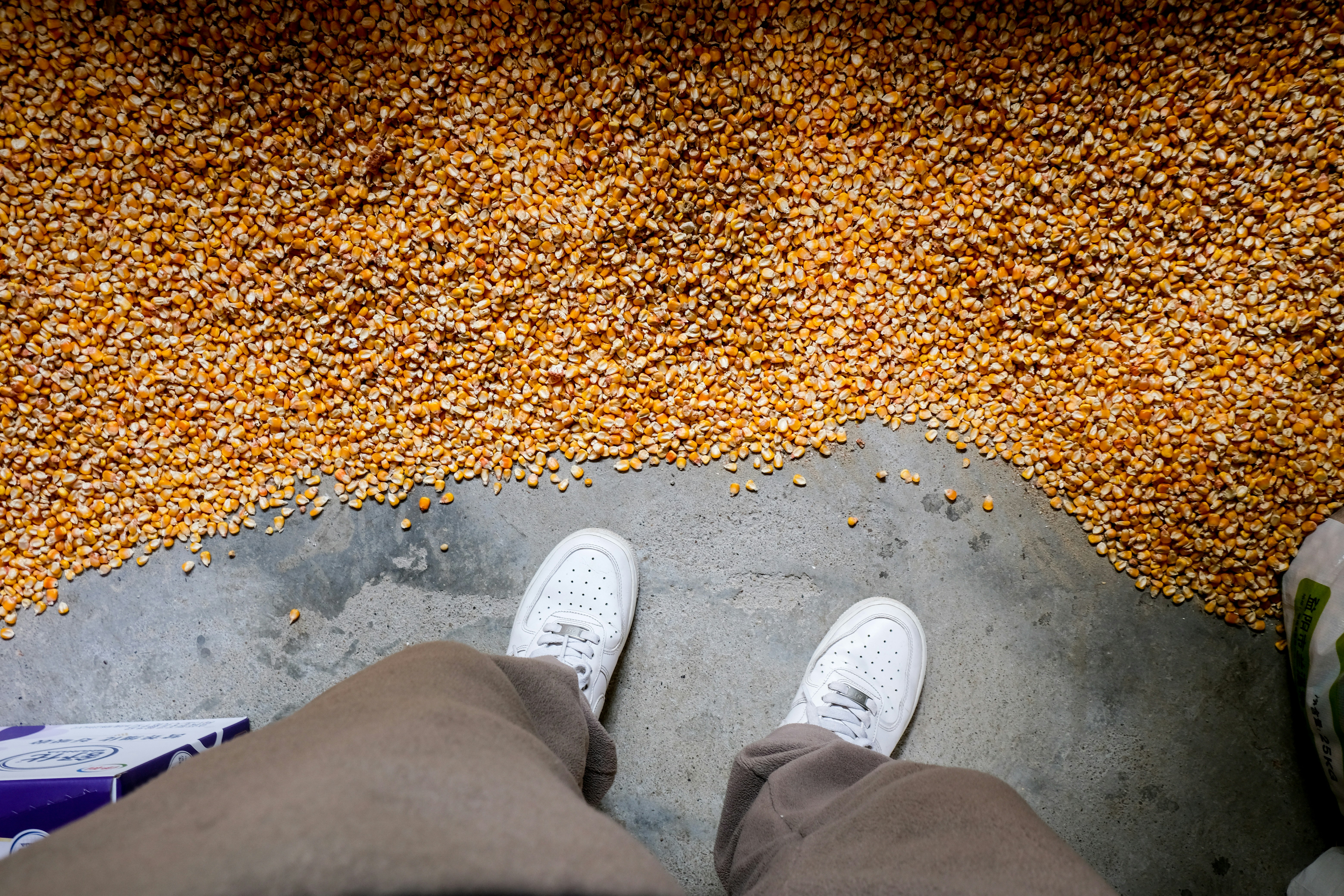 the bean scene