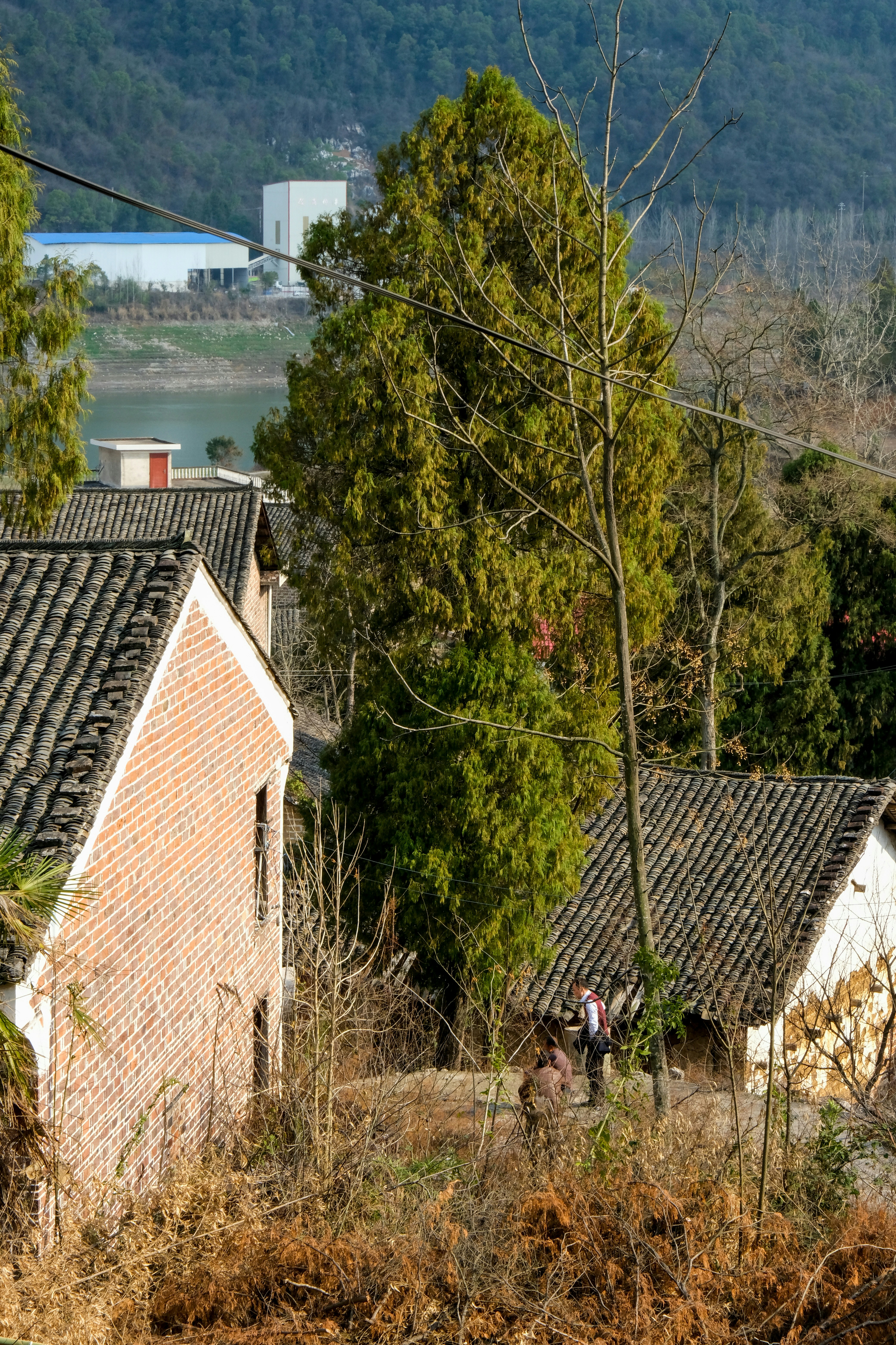 Landdorf mit traditionellen Häusern und üppigen Bäumen