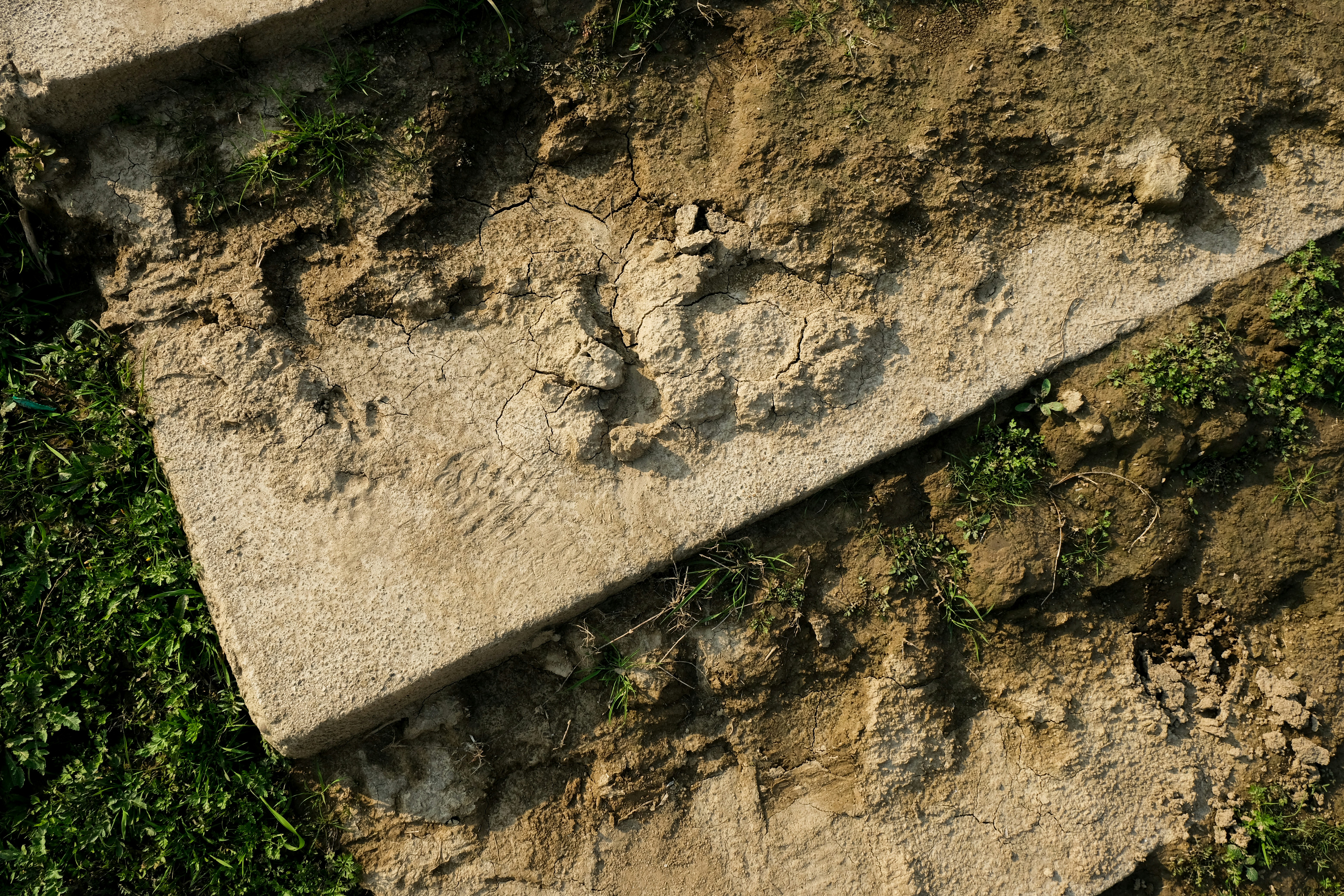 Fußabdrücke in eine Betonplatte draußen