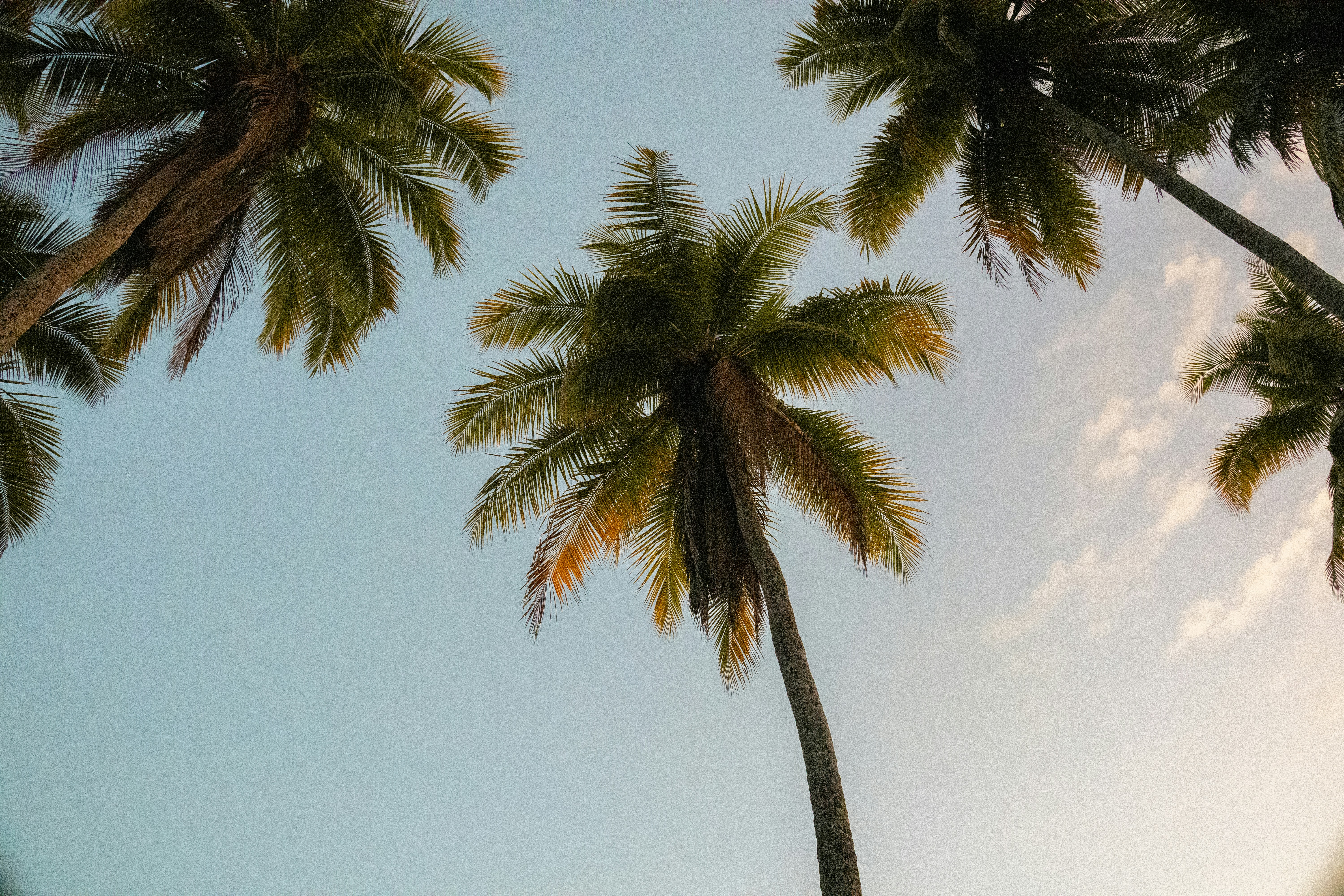 Photo by dennisepema