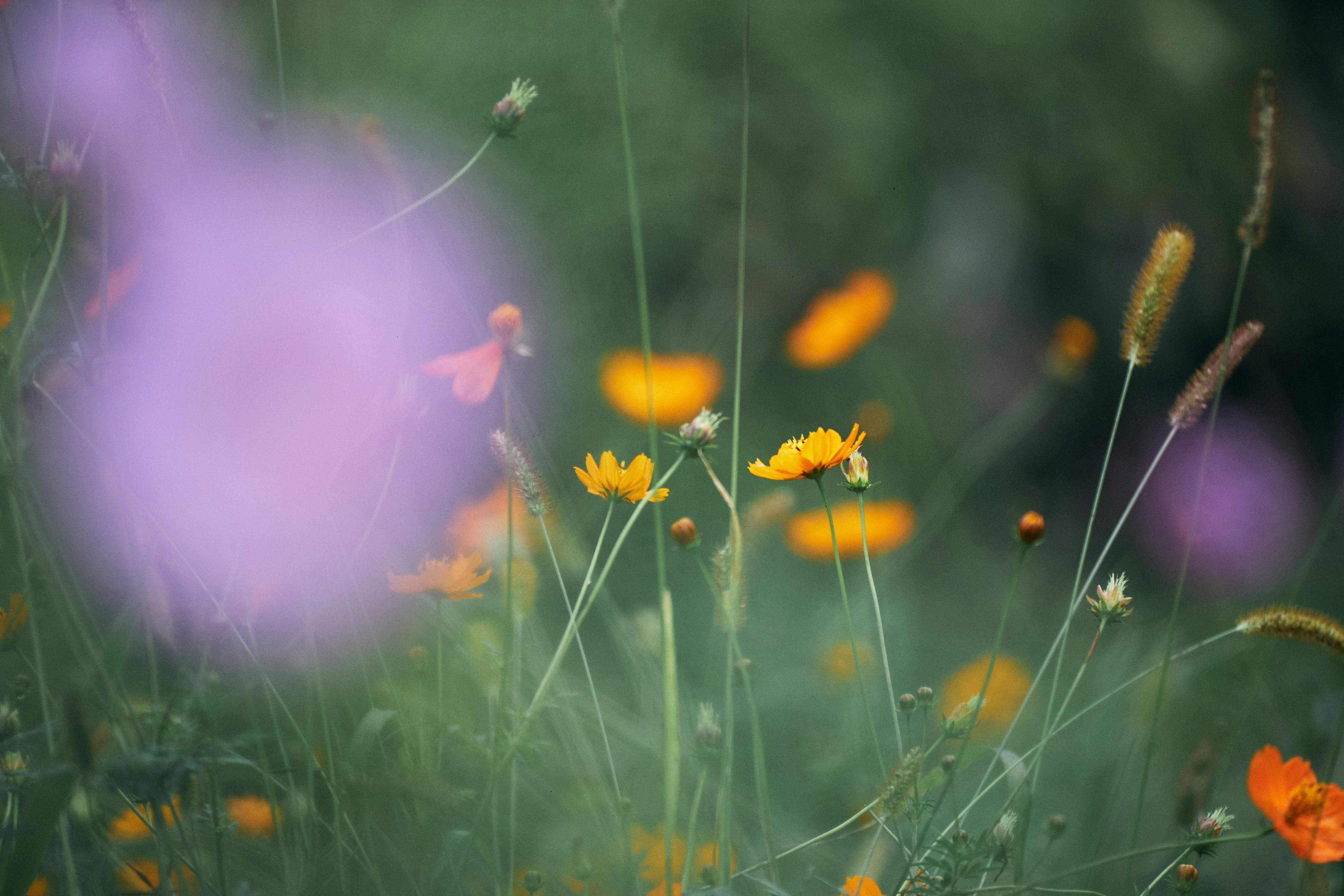 Photo by tsuyoshikozu