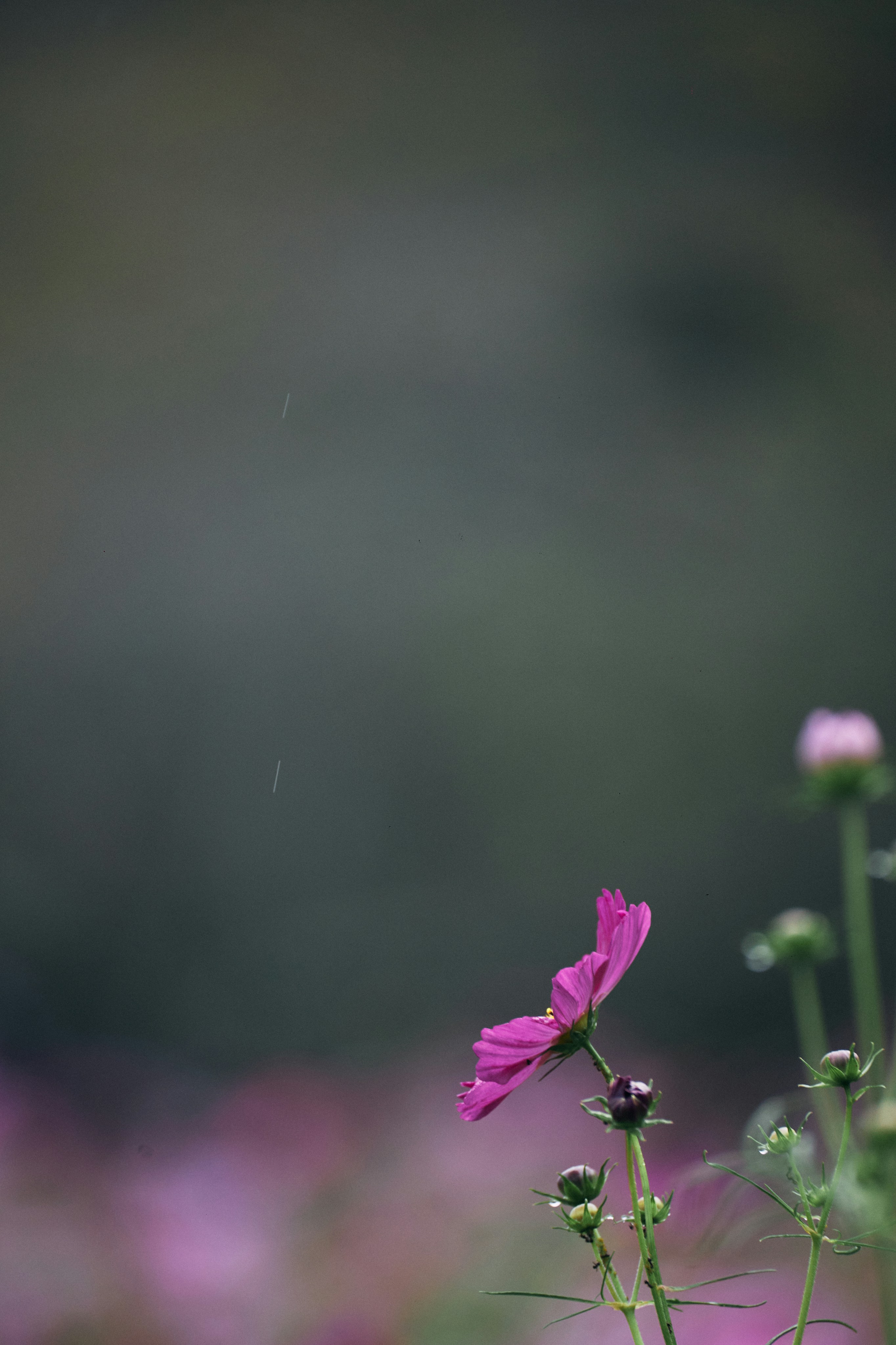 Photo by tsuyoshikozu