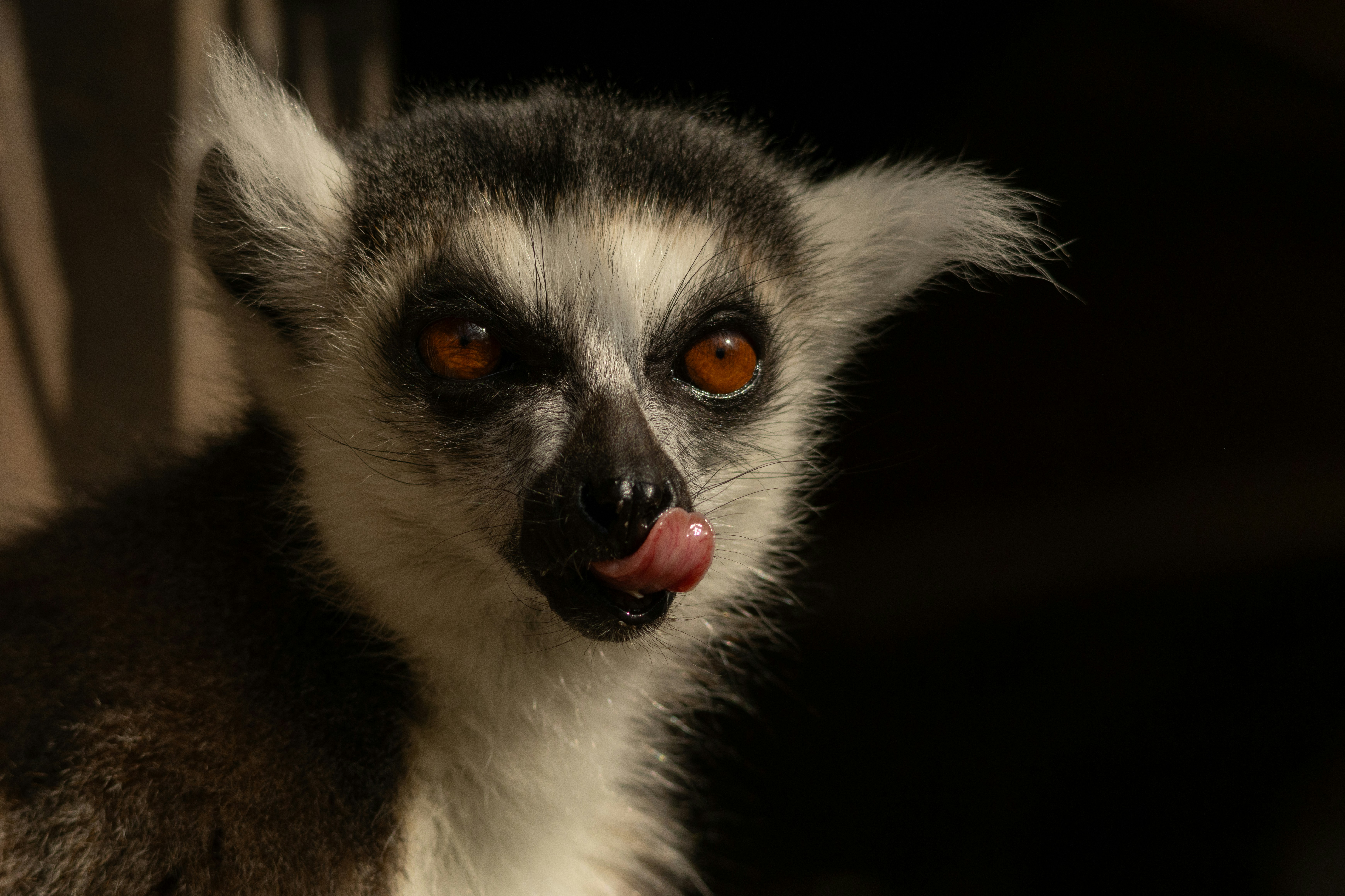 Photo by elkeburhenne