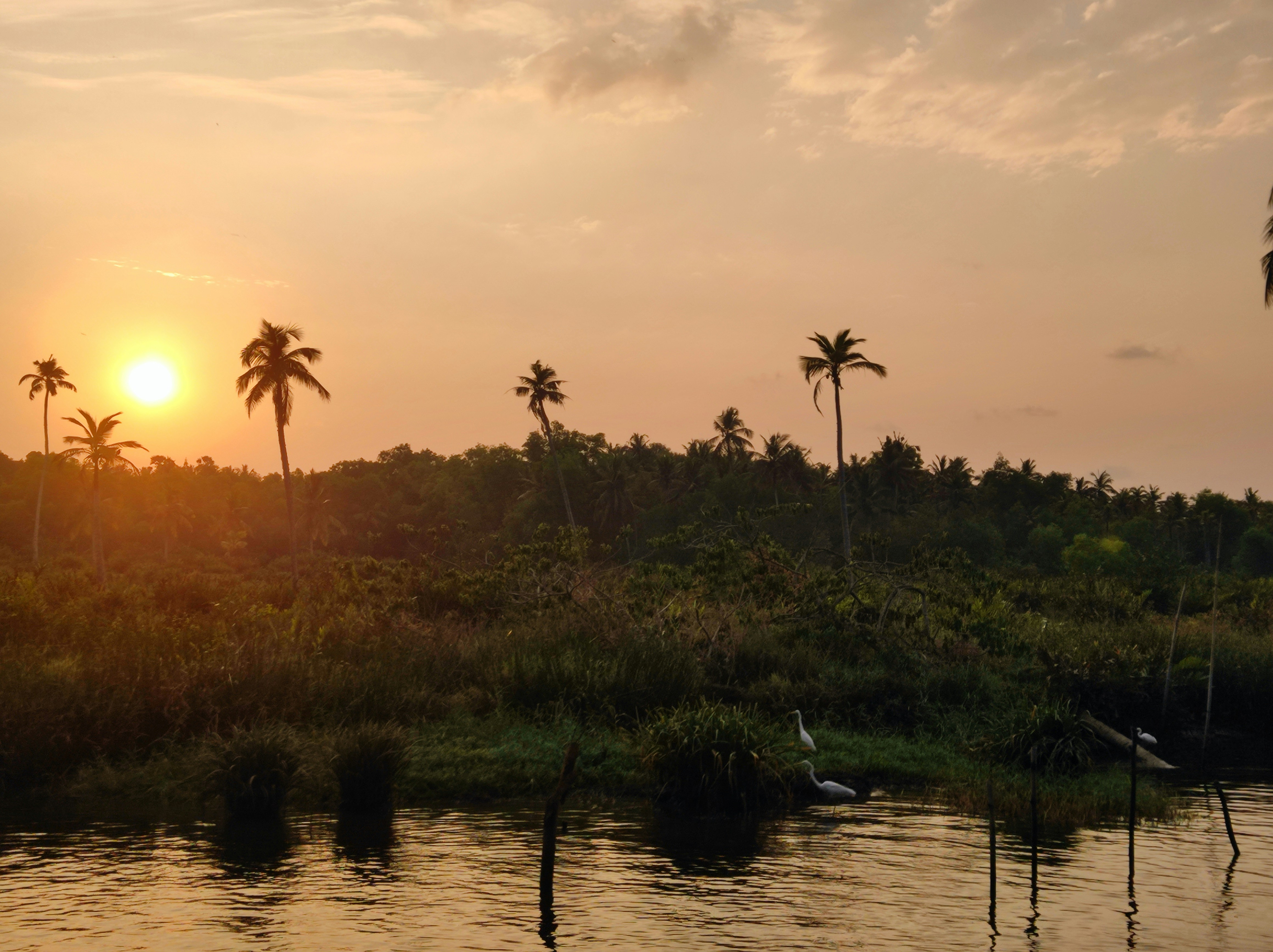 Wandering Indian (@wanderingindian) | Unsplashフォトコミュニティ