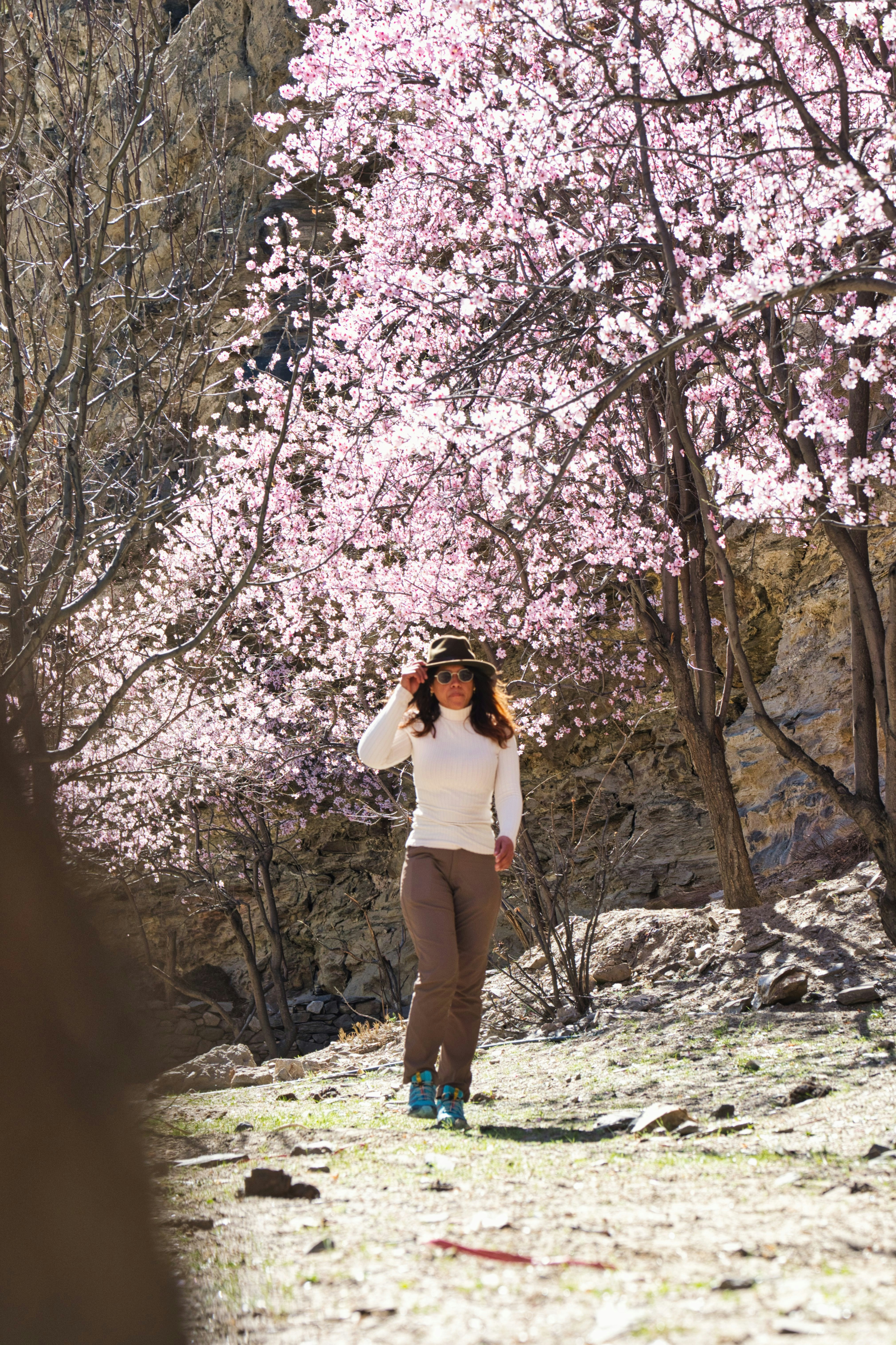 Woman in hat walks through blooming cherry trees