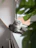 A fluffy grey cat sits on a windowsill looking out.