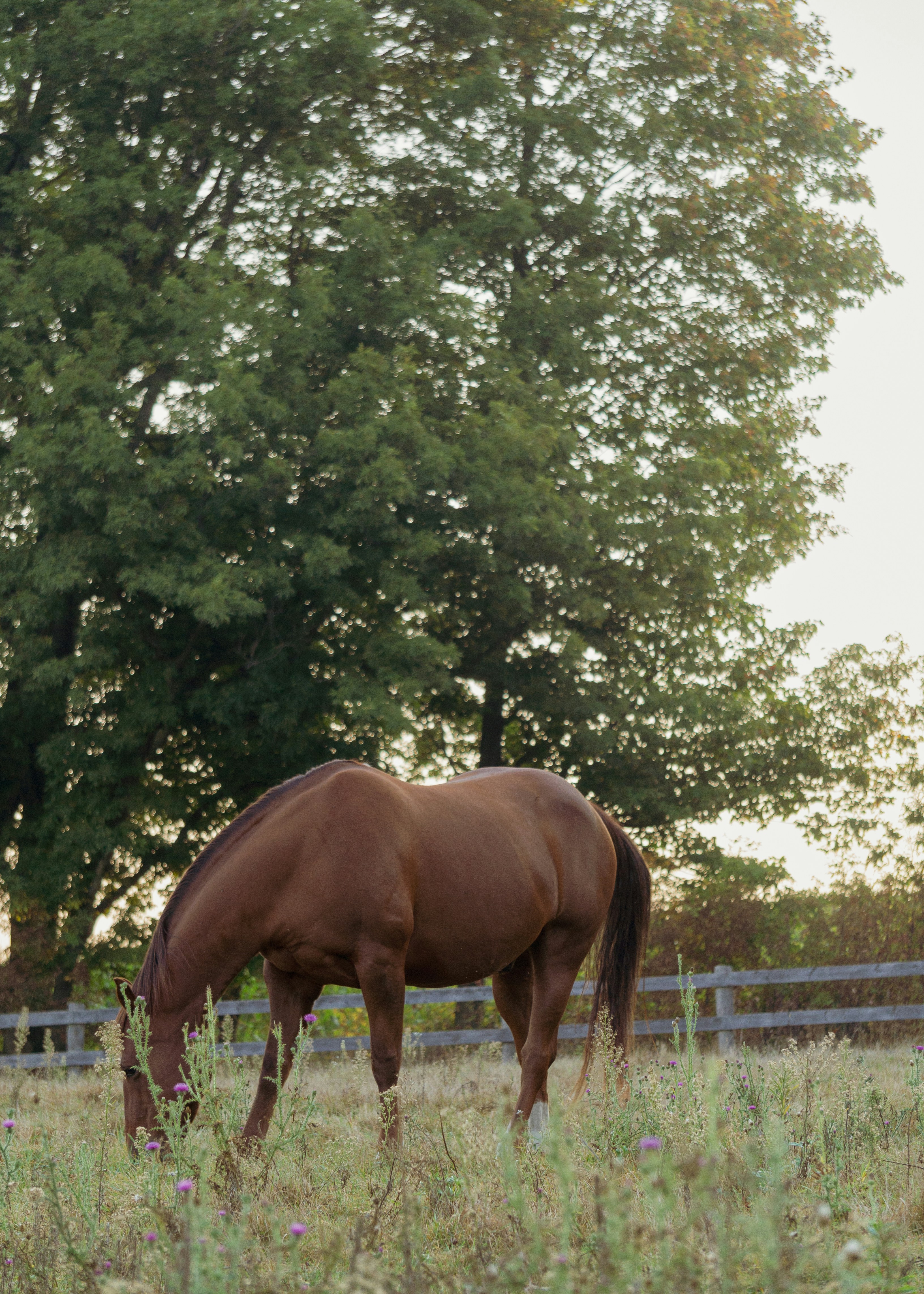 Photo by whereiskylenow