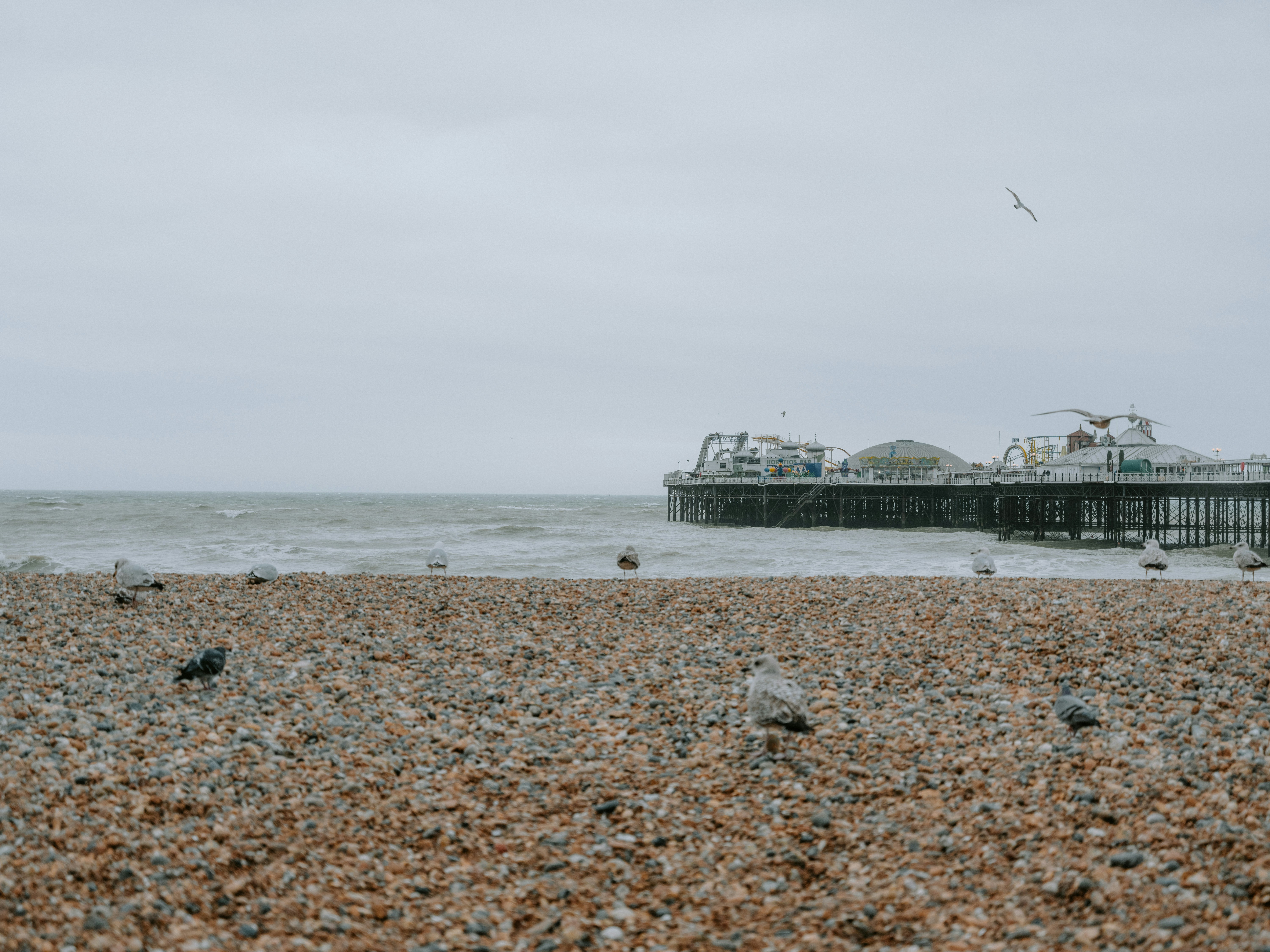 Photo by anniespratt