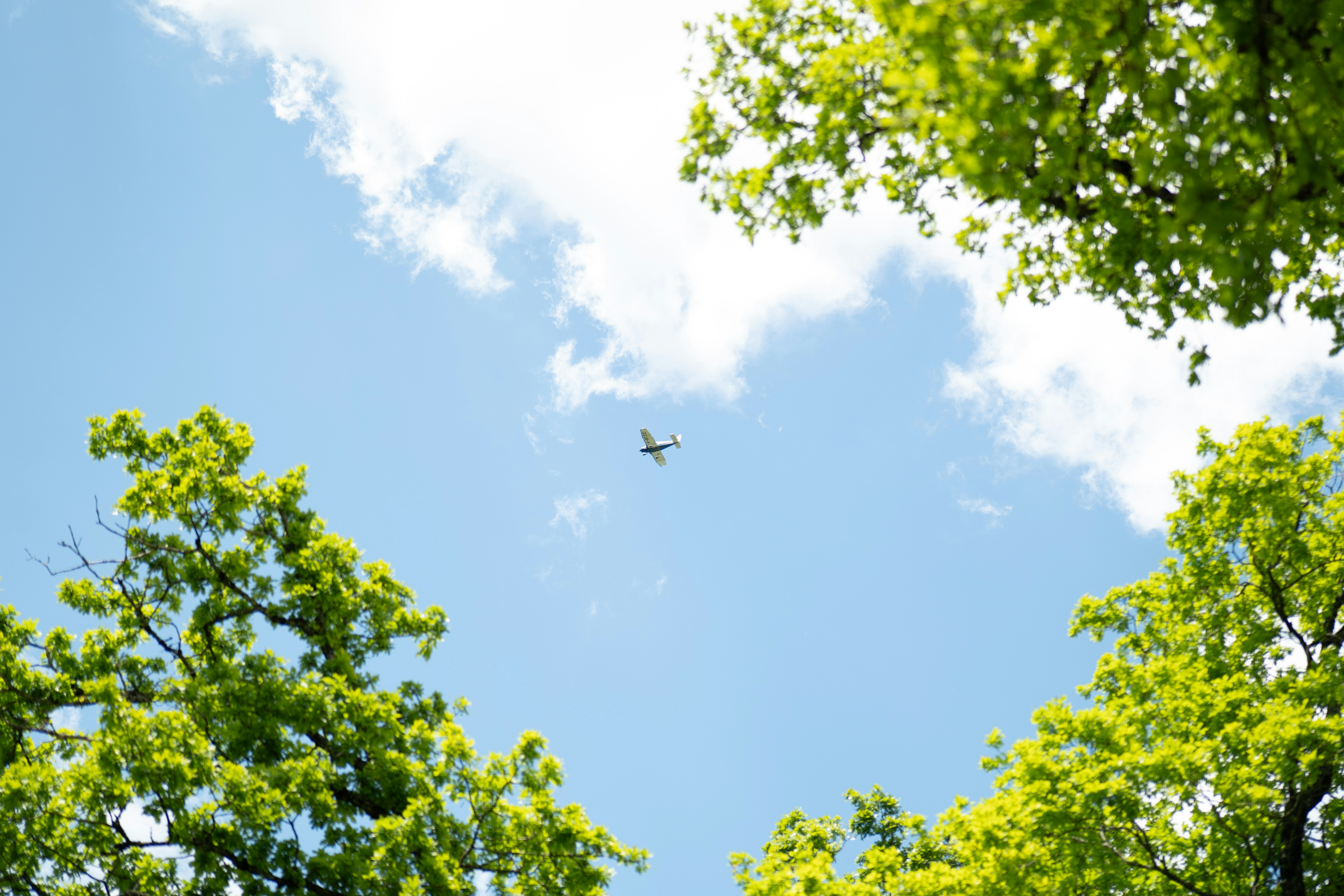 明るい青空と雲の中を飛ぶ飛行機。