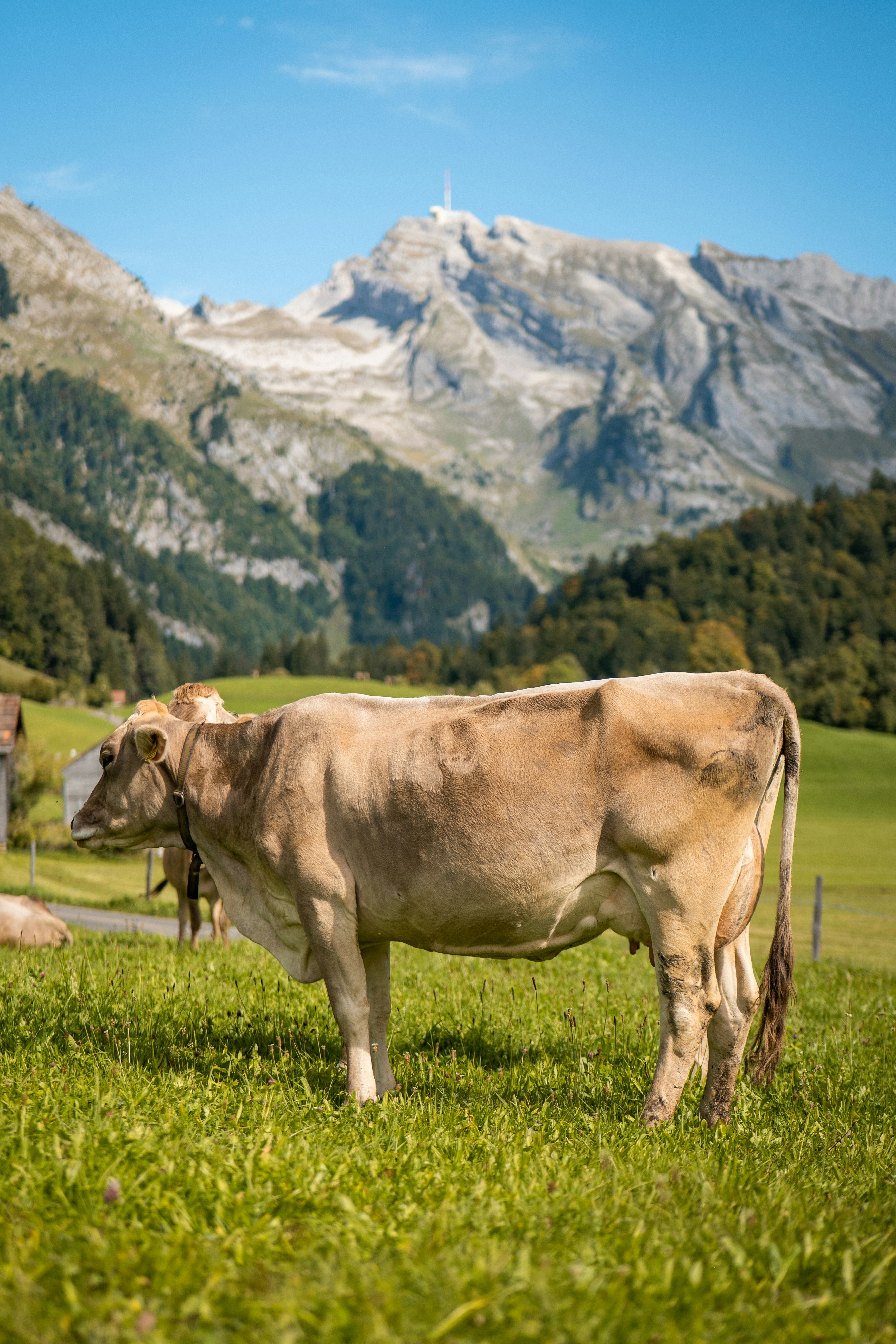 Photo by andr1_aeschli