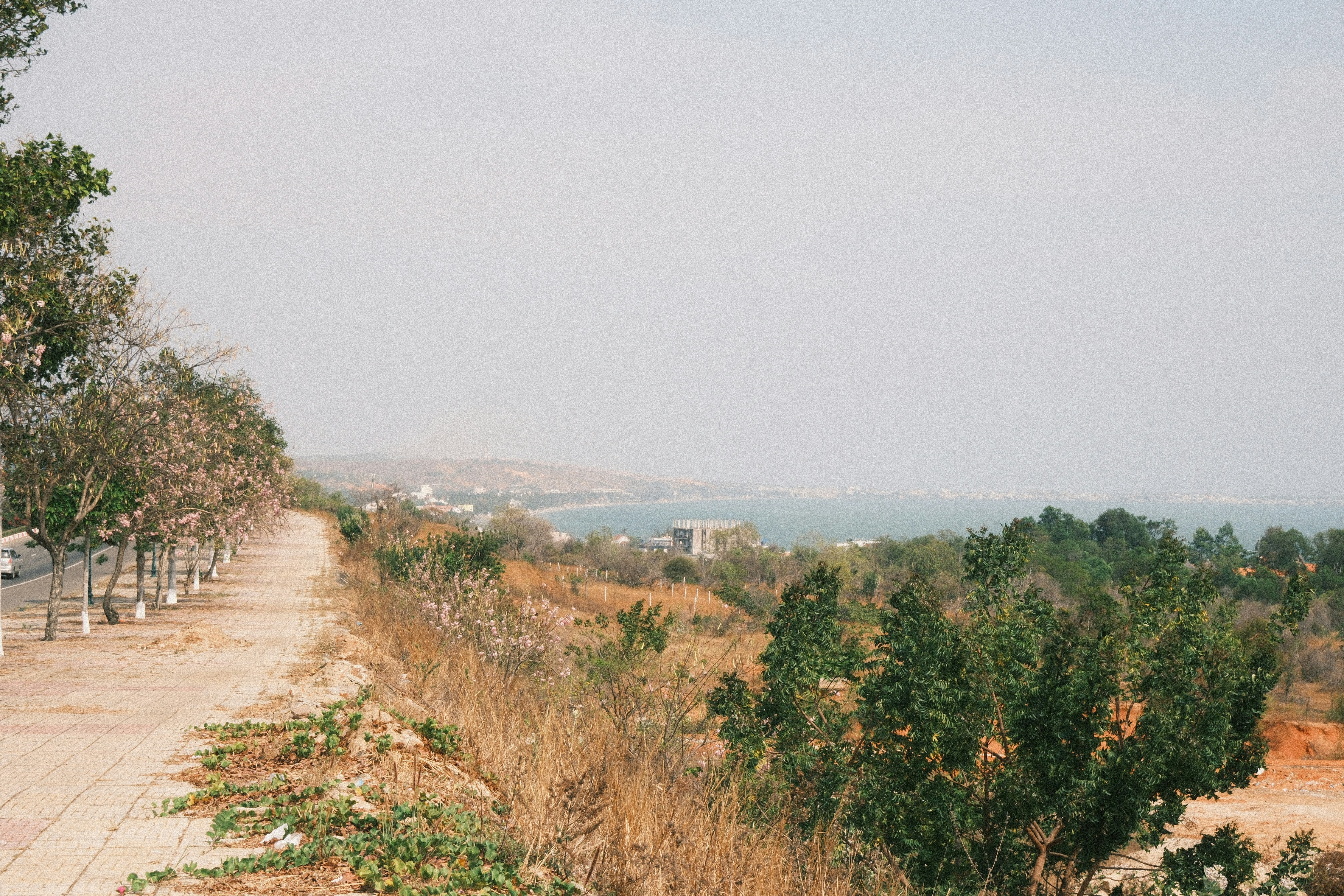 Photo by natalienpngoc