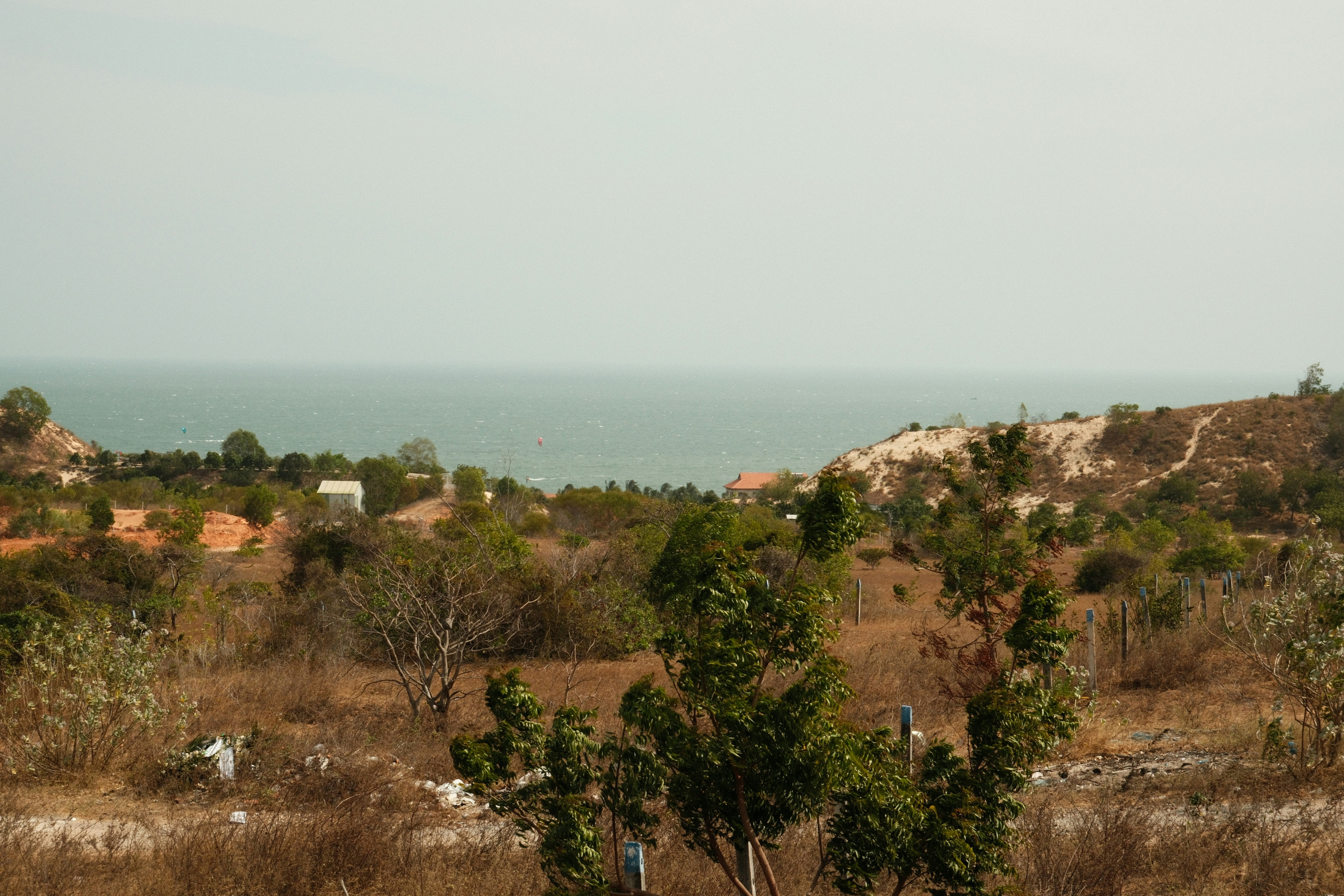 Photo by natalienpngoc