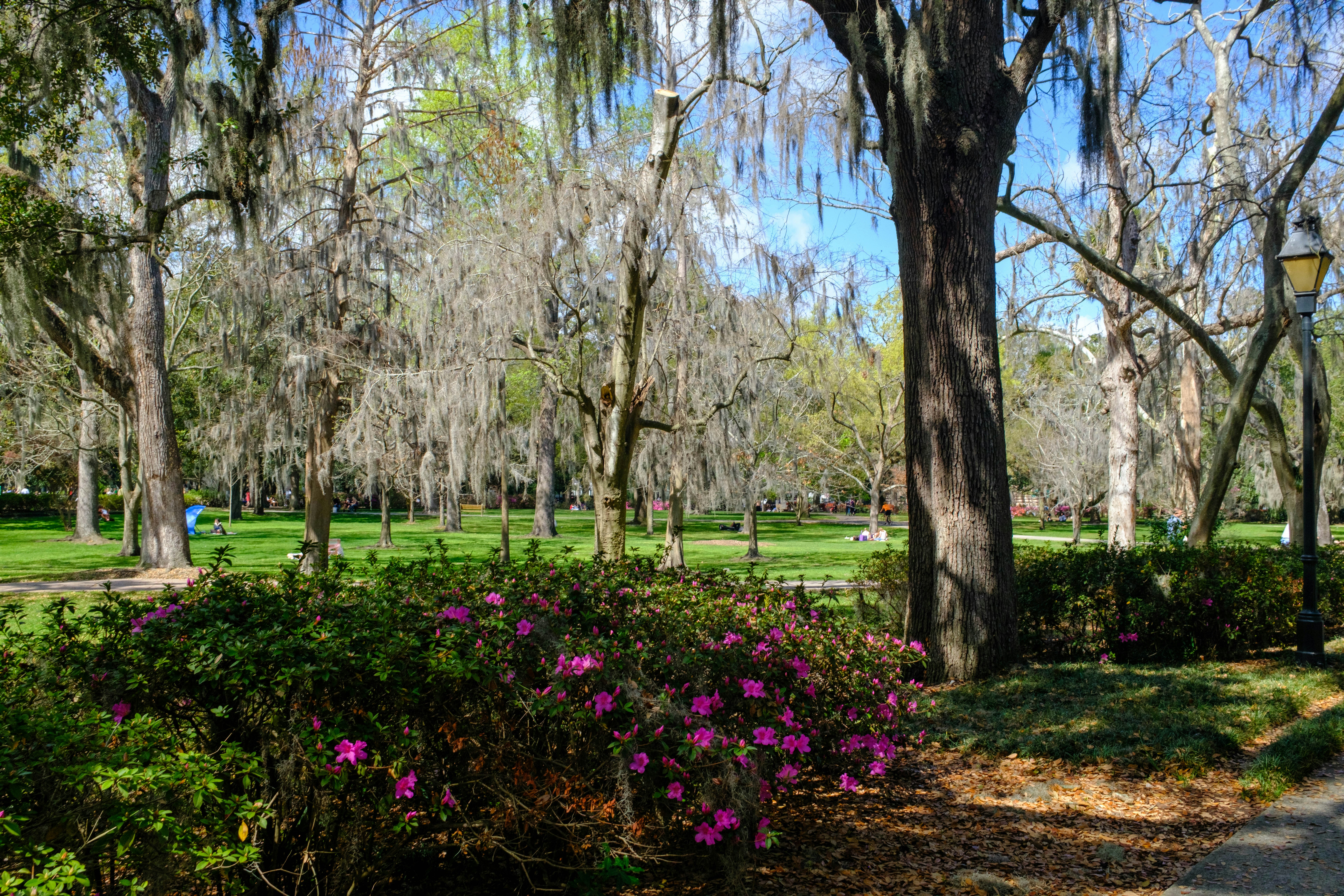Antoine Park