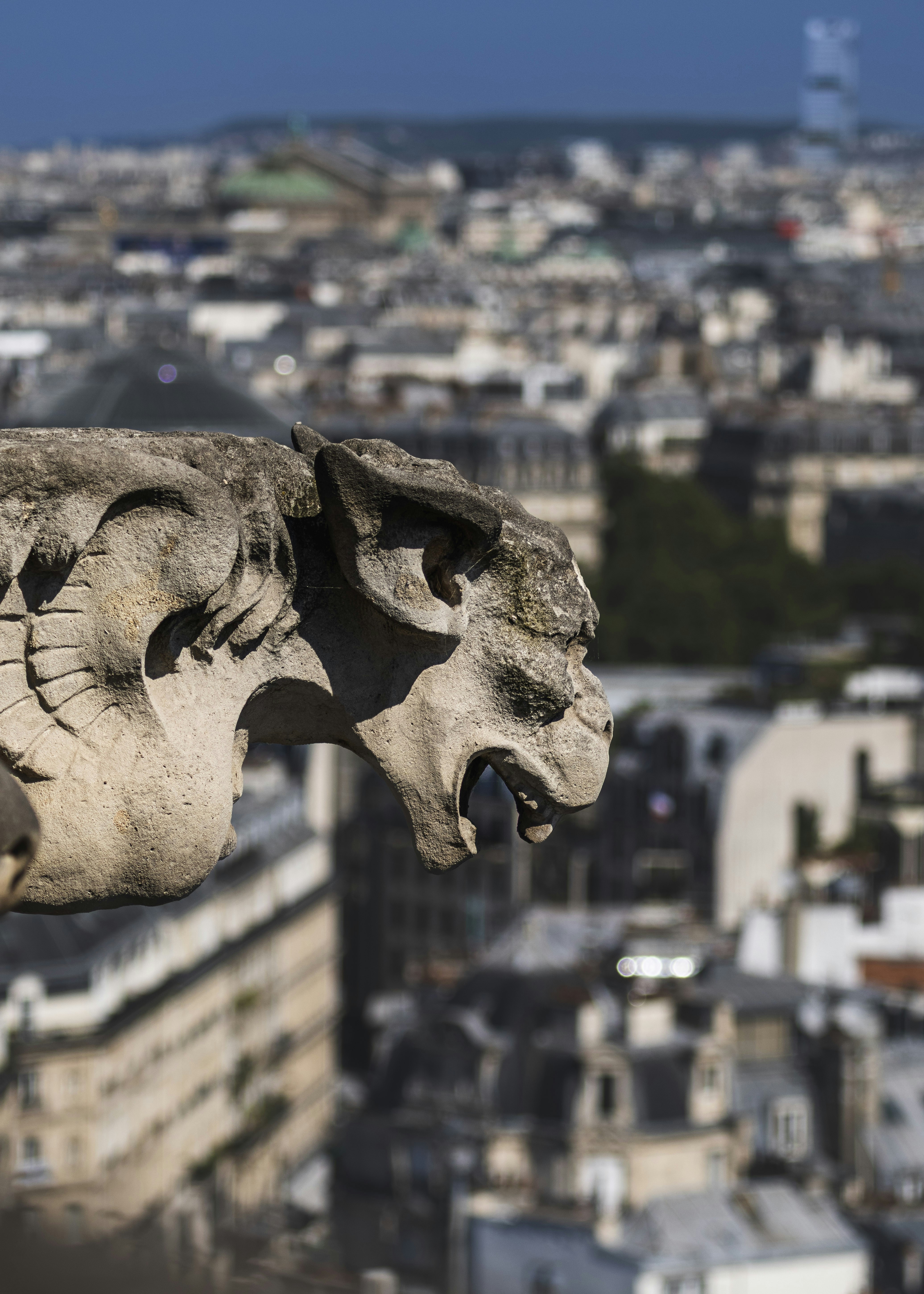 Gárgola de piedra con vistas al horizonte de una ciudad