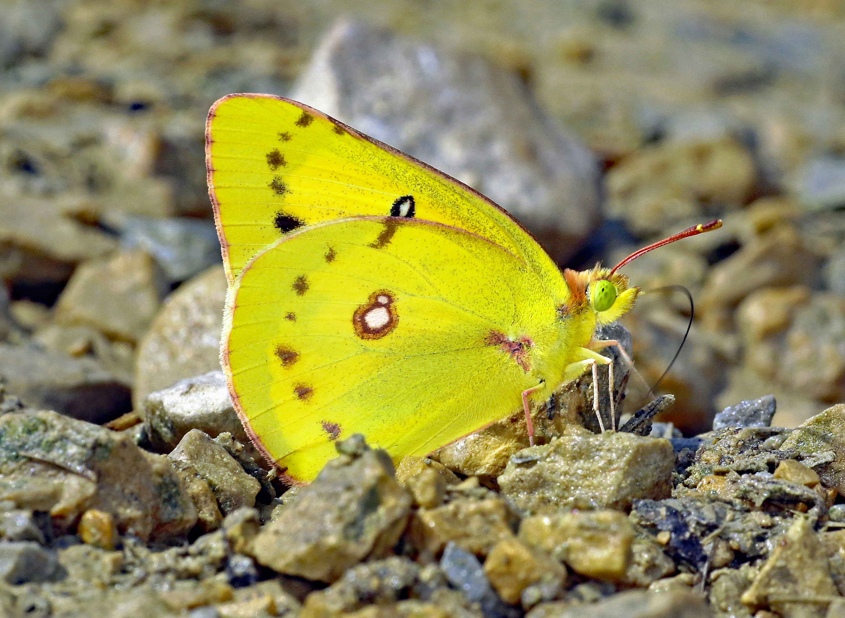 Photo by telliottmbamsc