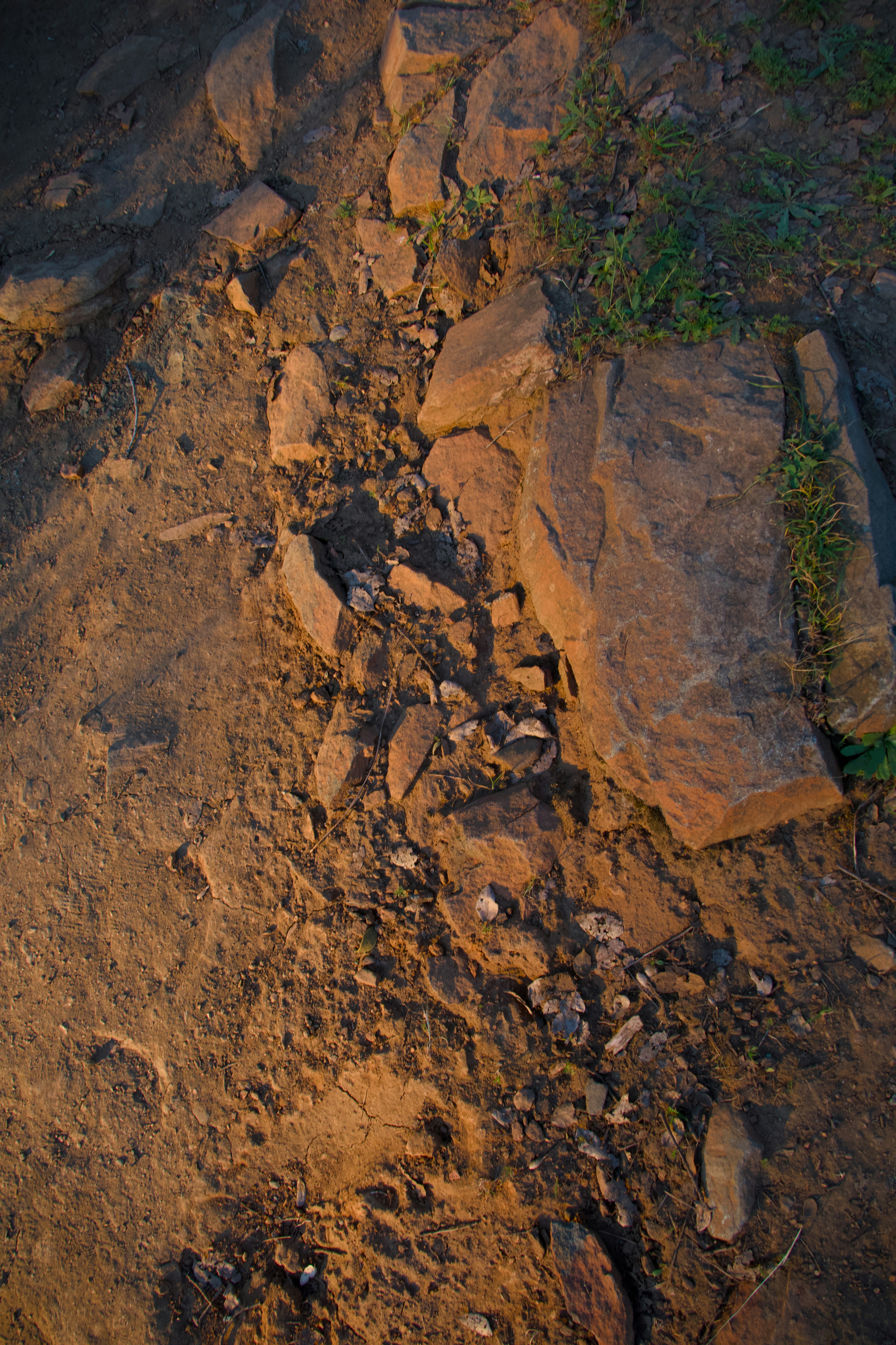 Photo by sarguninder