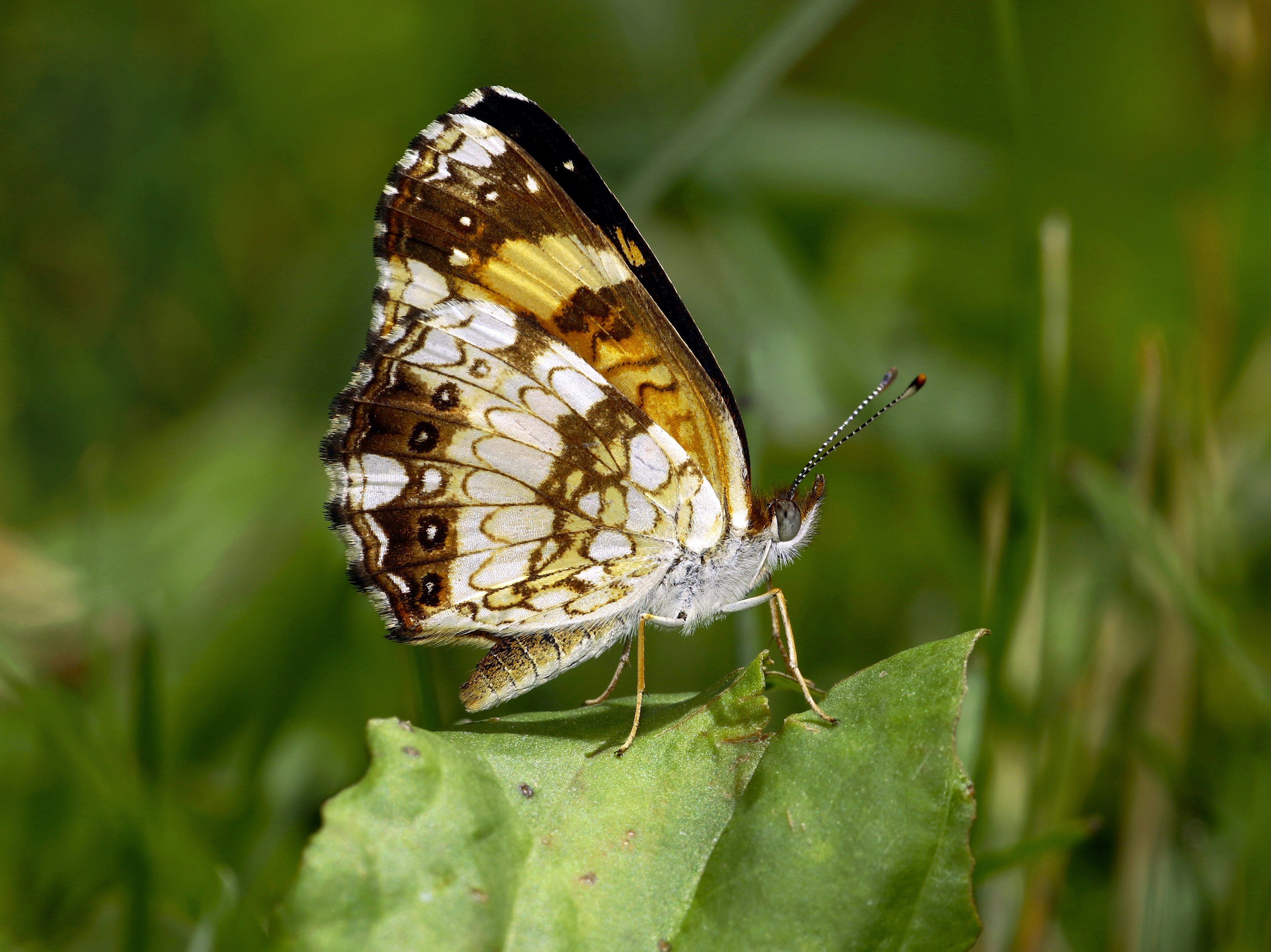 Photo by telliottmbamsc