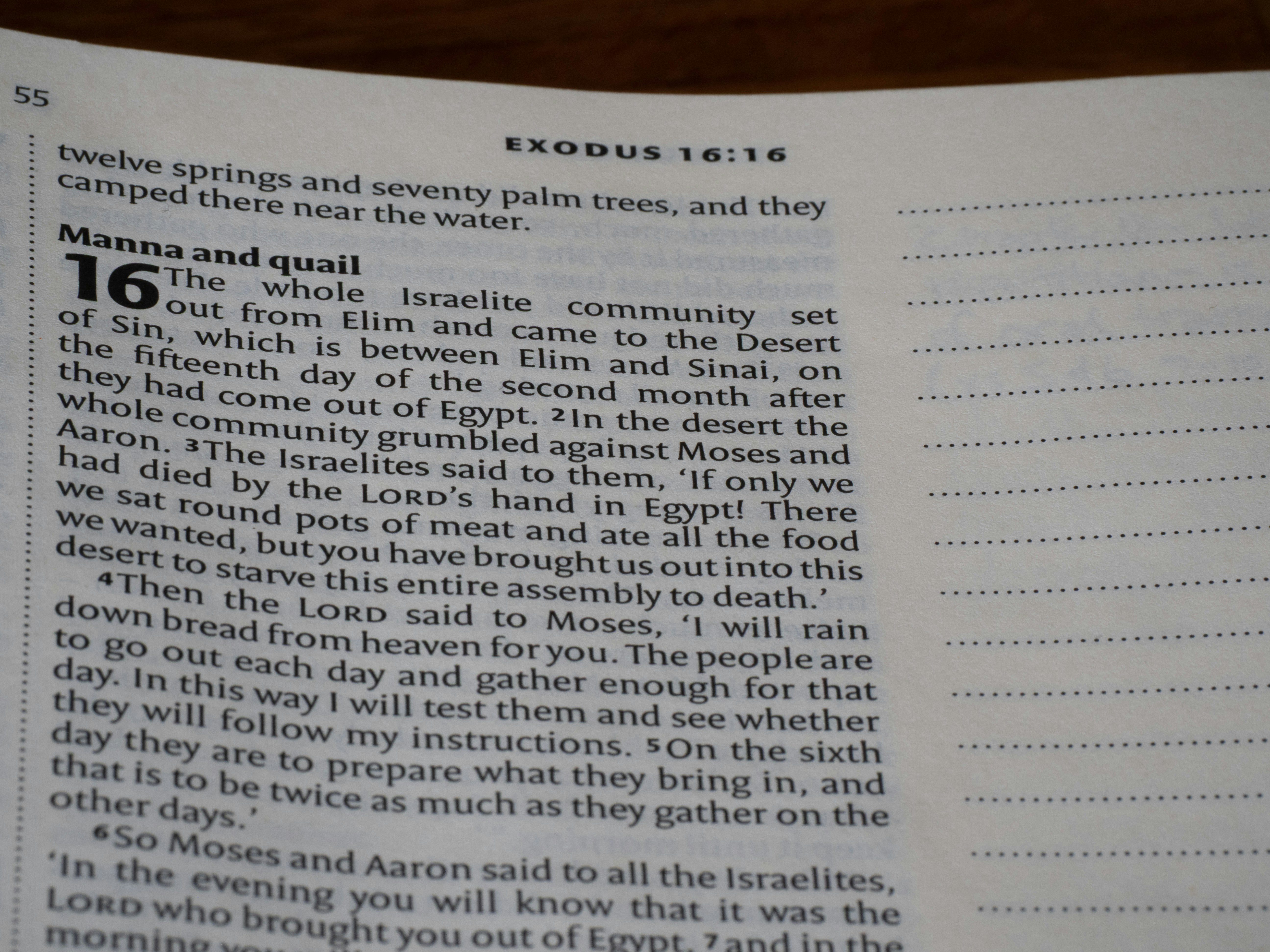 Page from a book with text and headings.