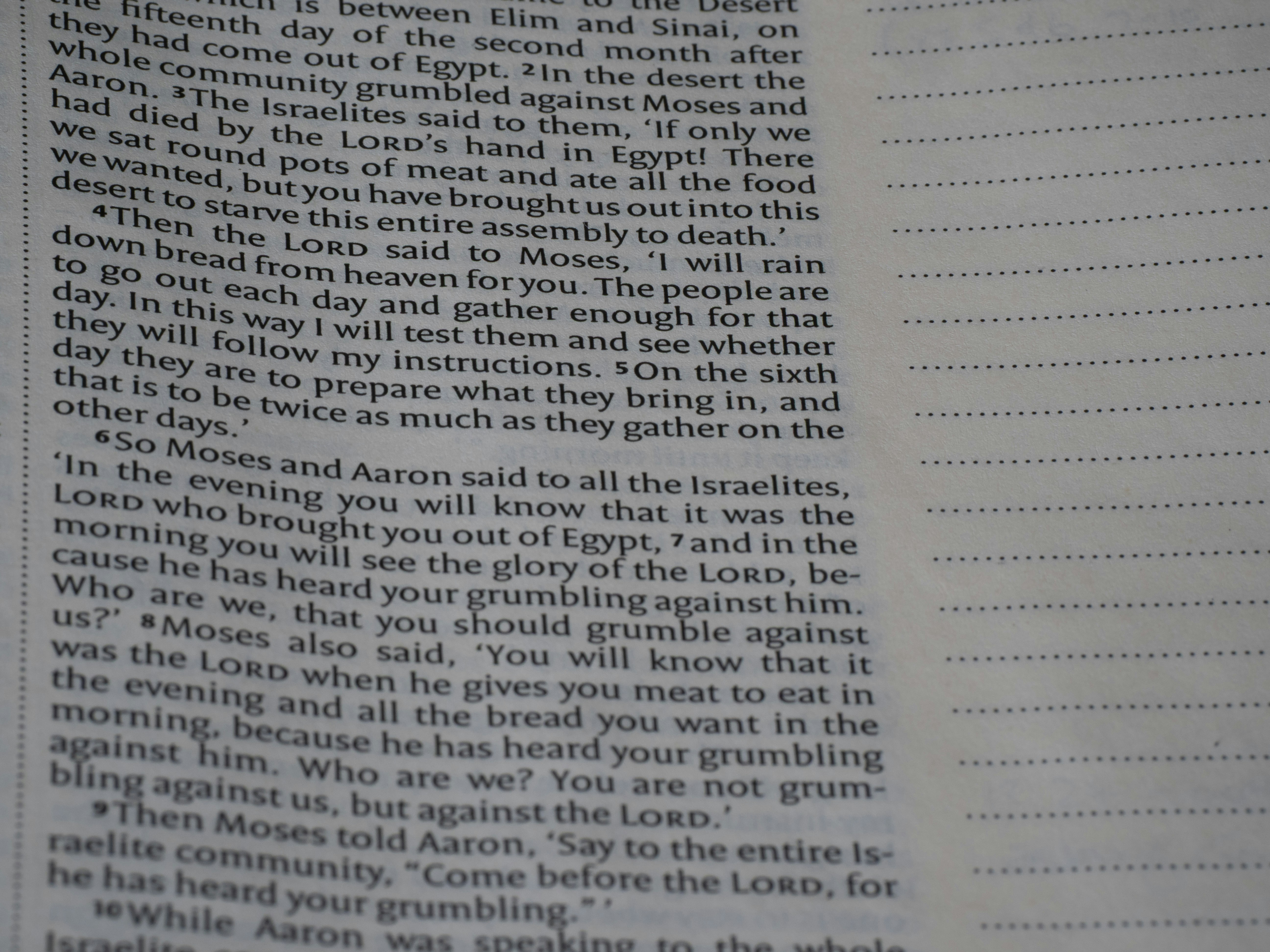 Close-up of text in a book with lines.