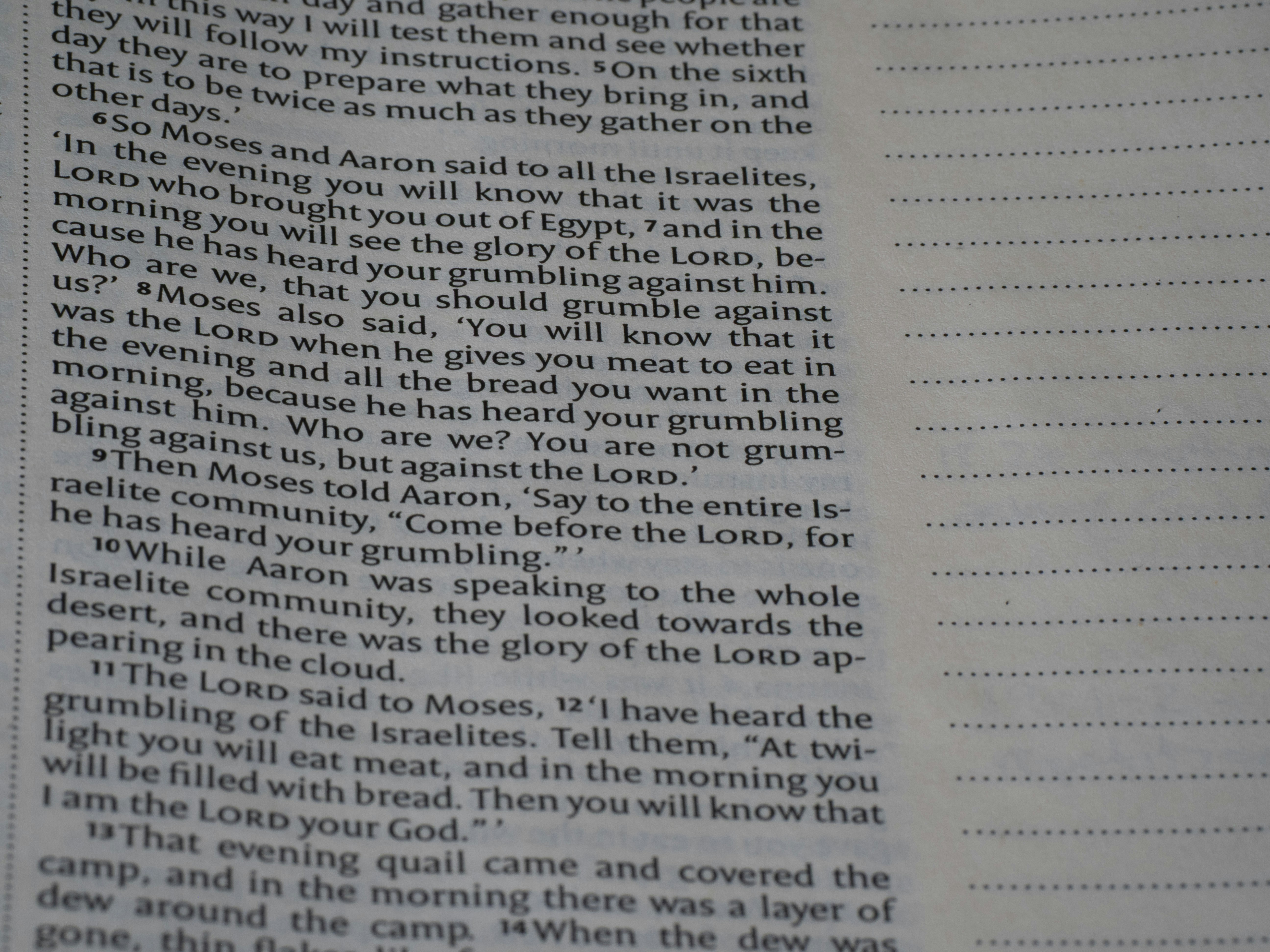 Close up of text in a book