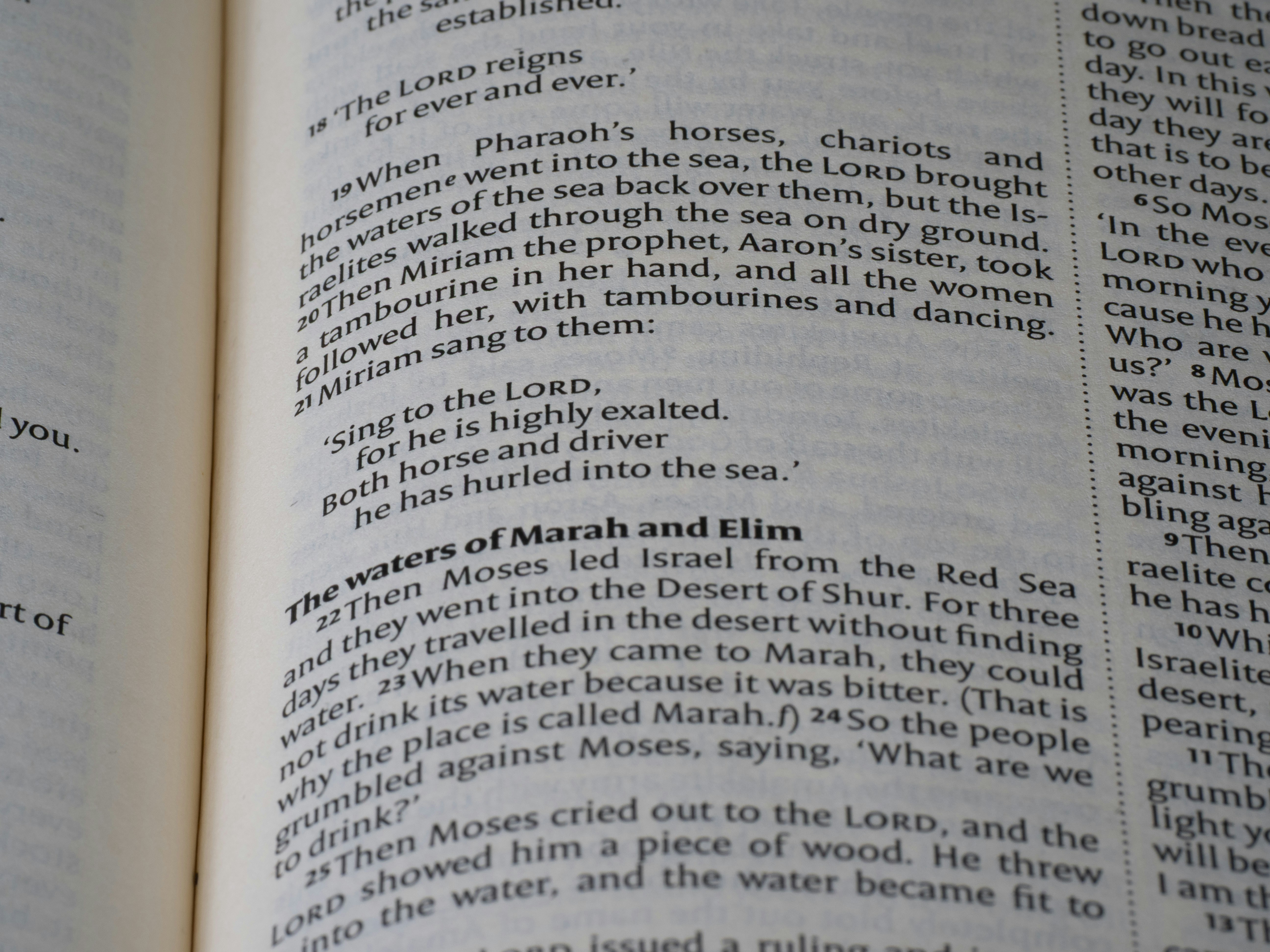 Close-up of open book with text visible.