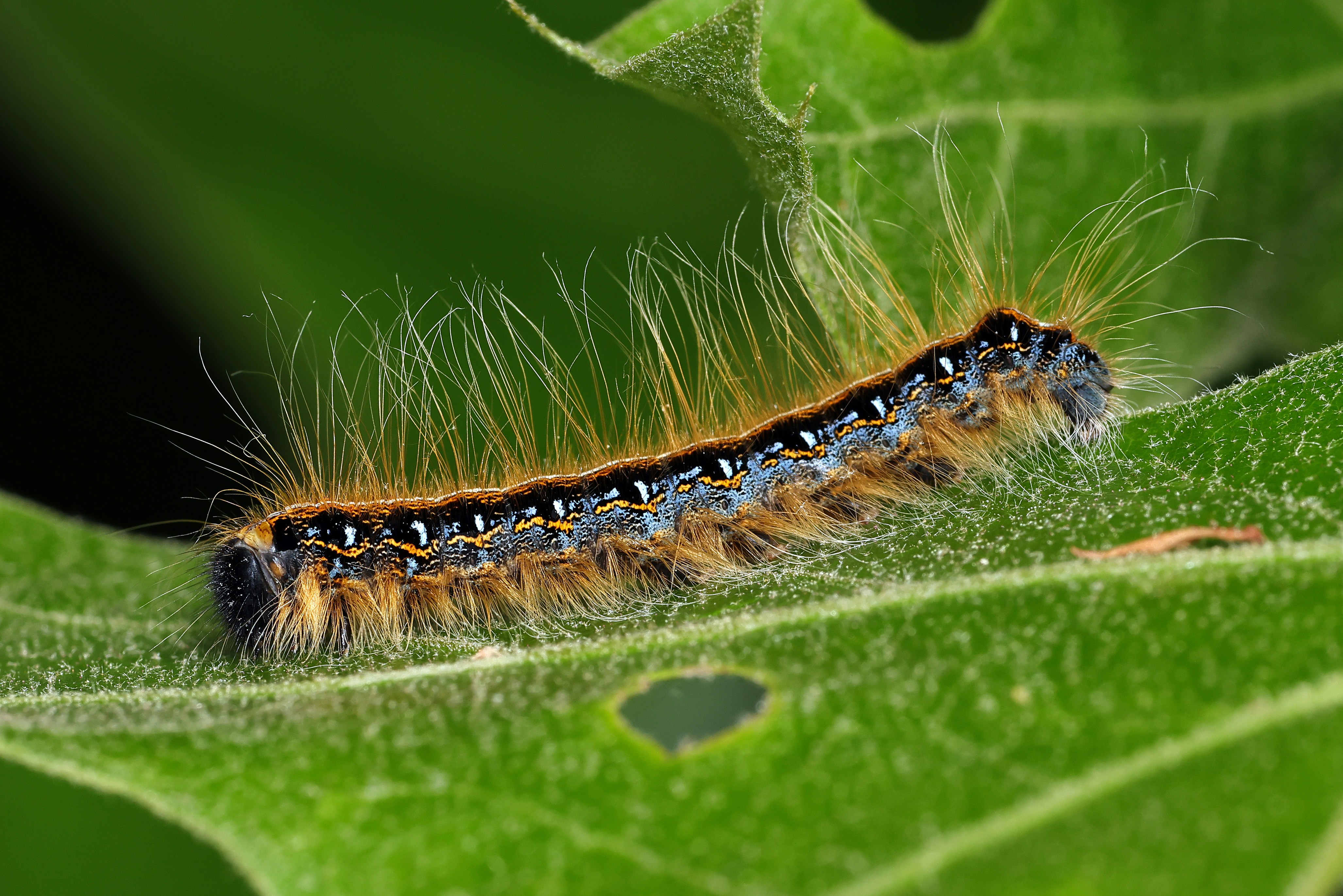 Photo by telliottmbamsc