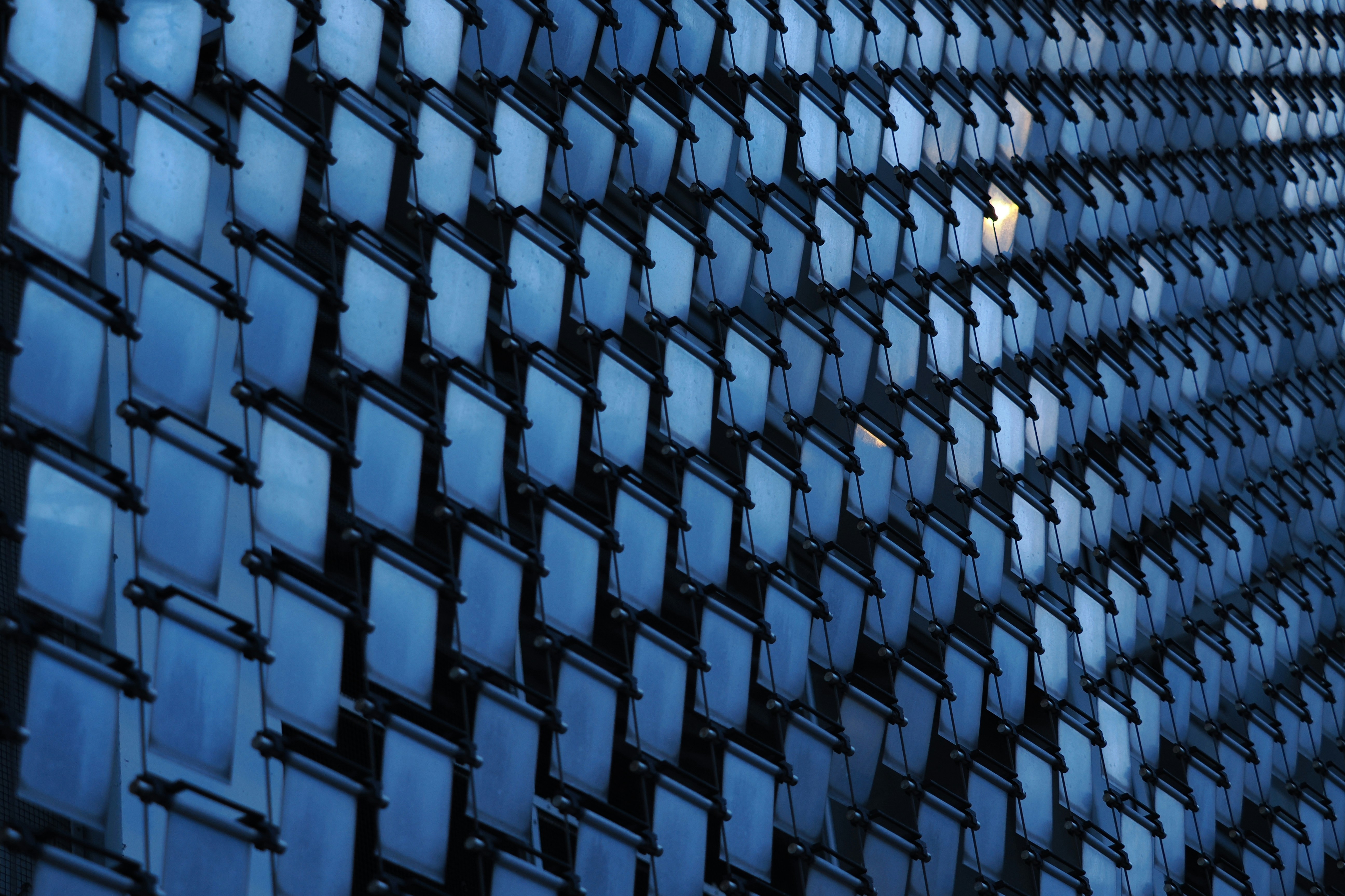 Photo by liliantruong2603